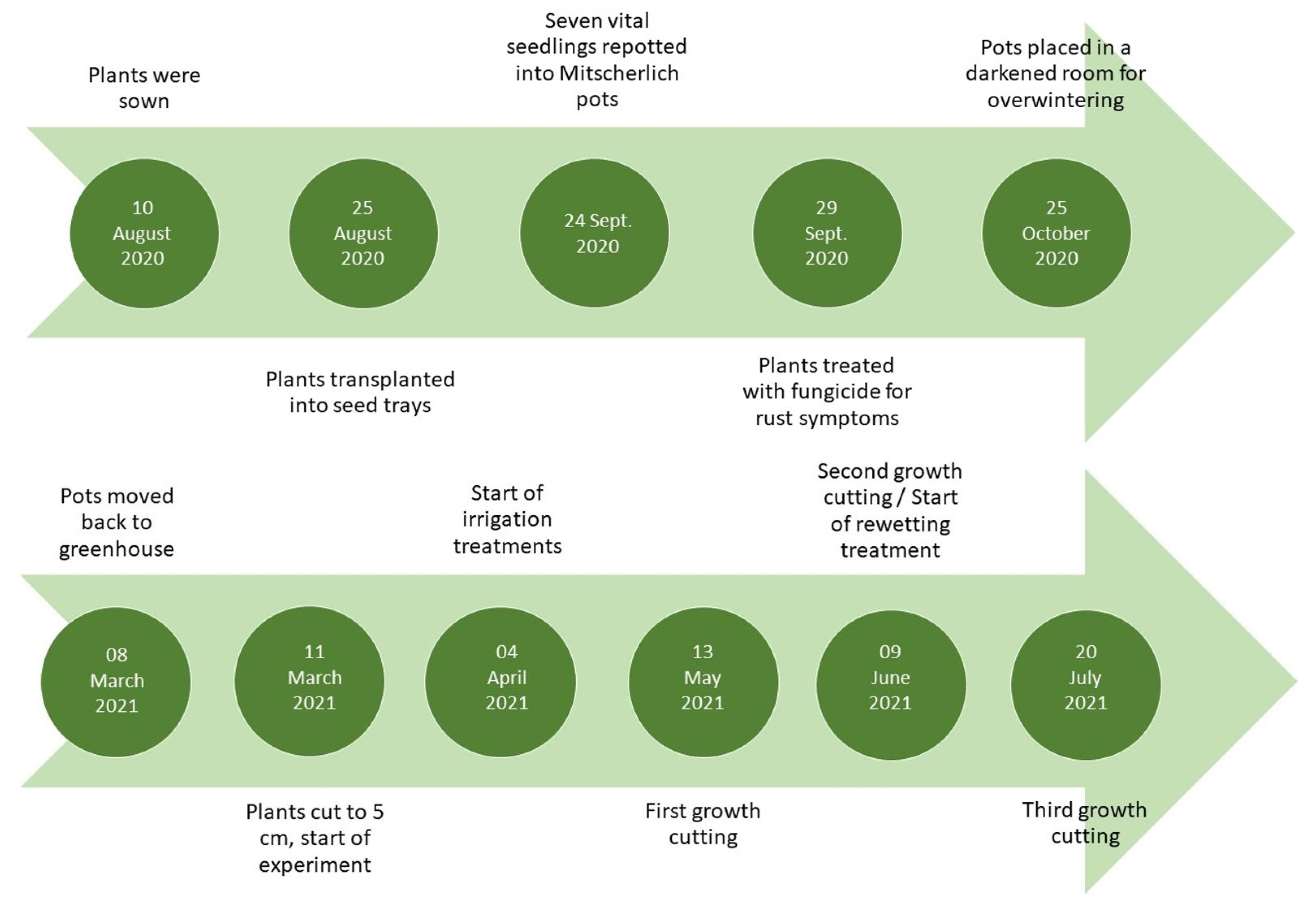 Agriculture 14 01116 g003