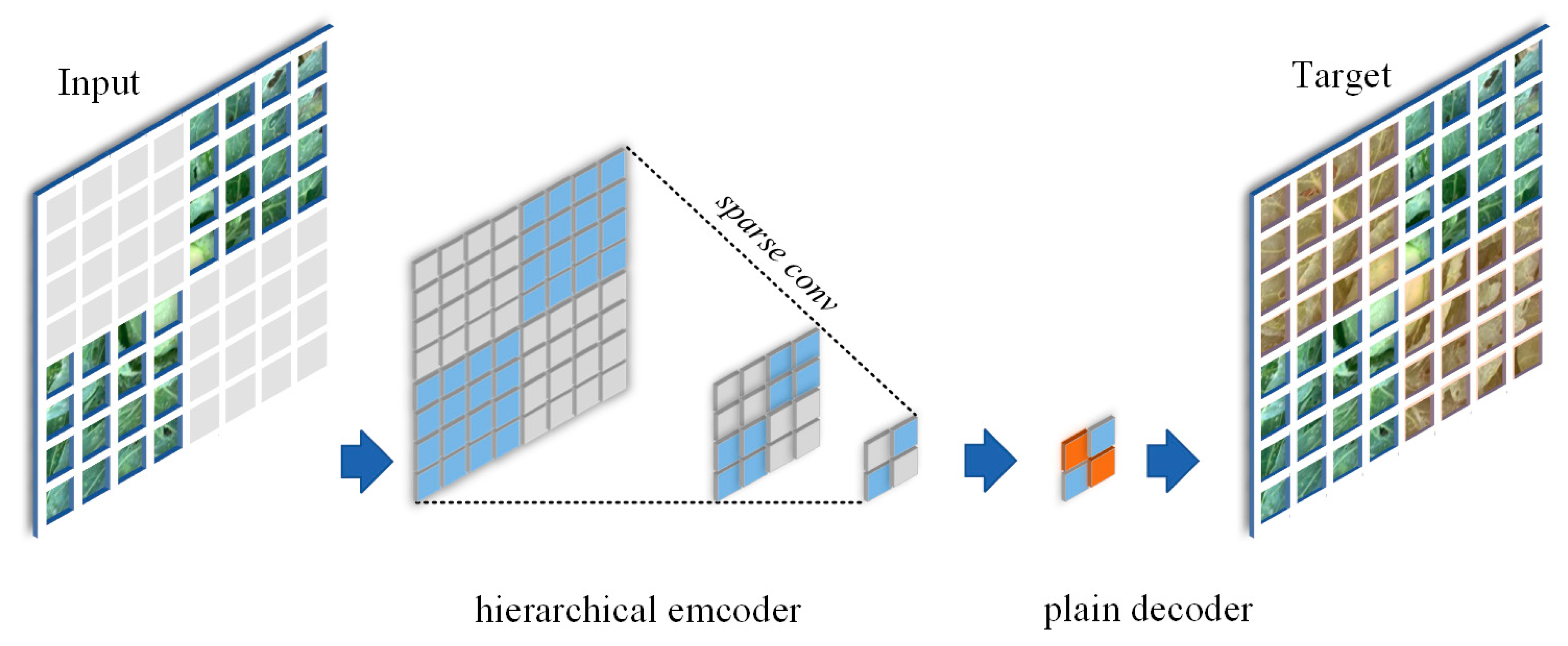 Agriculture 14 01125 g002