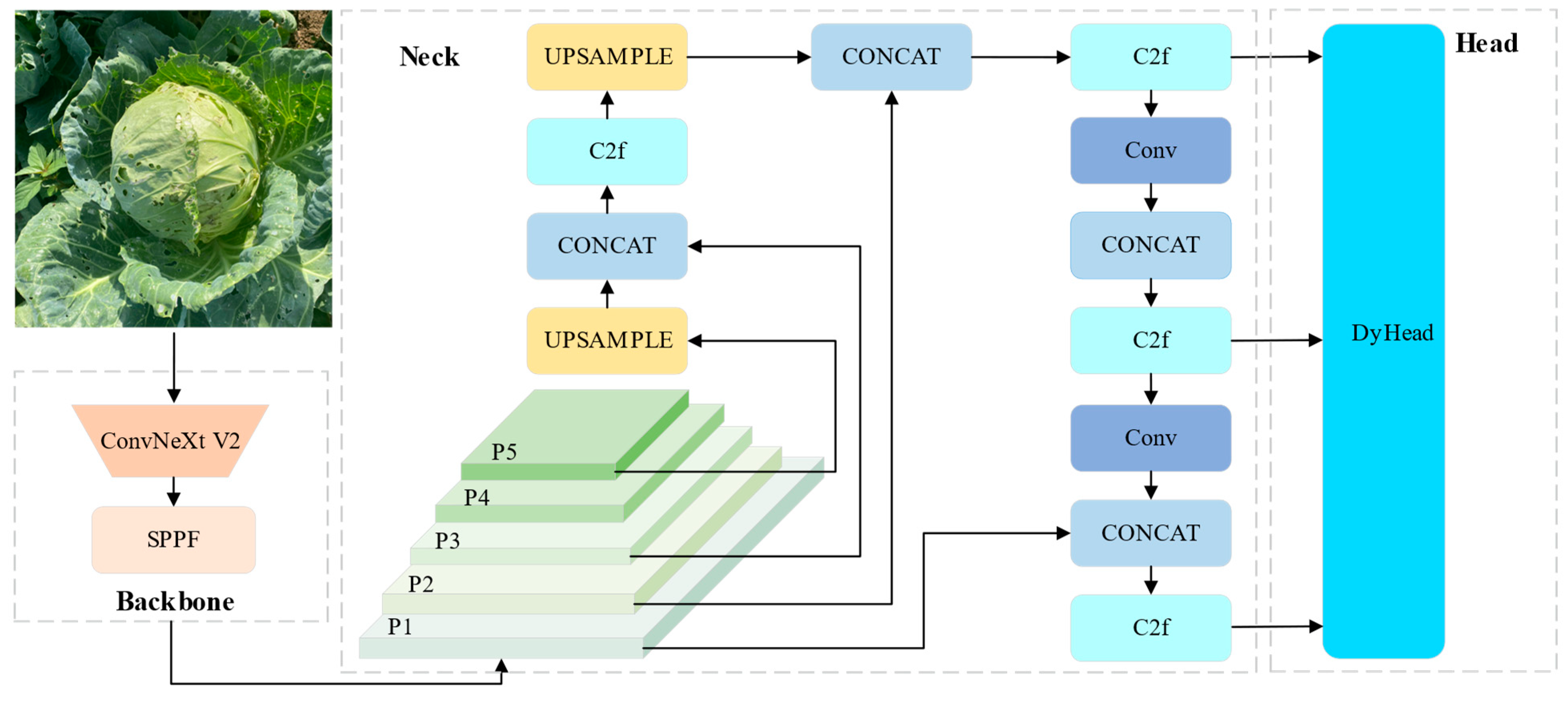 Agriculture 14 01125 g005