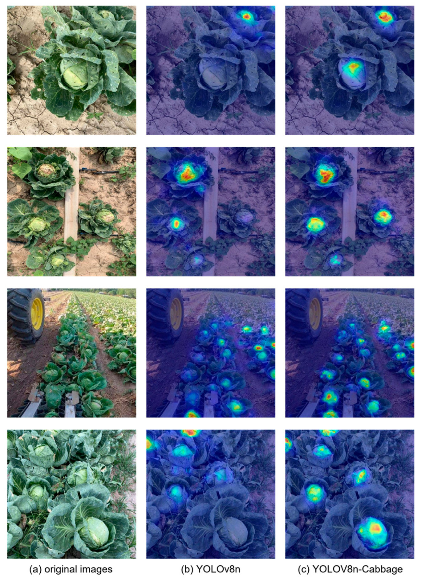 Agriculture 14 01125 g007