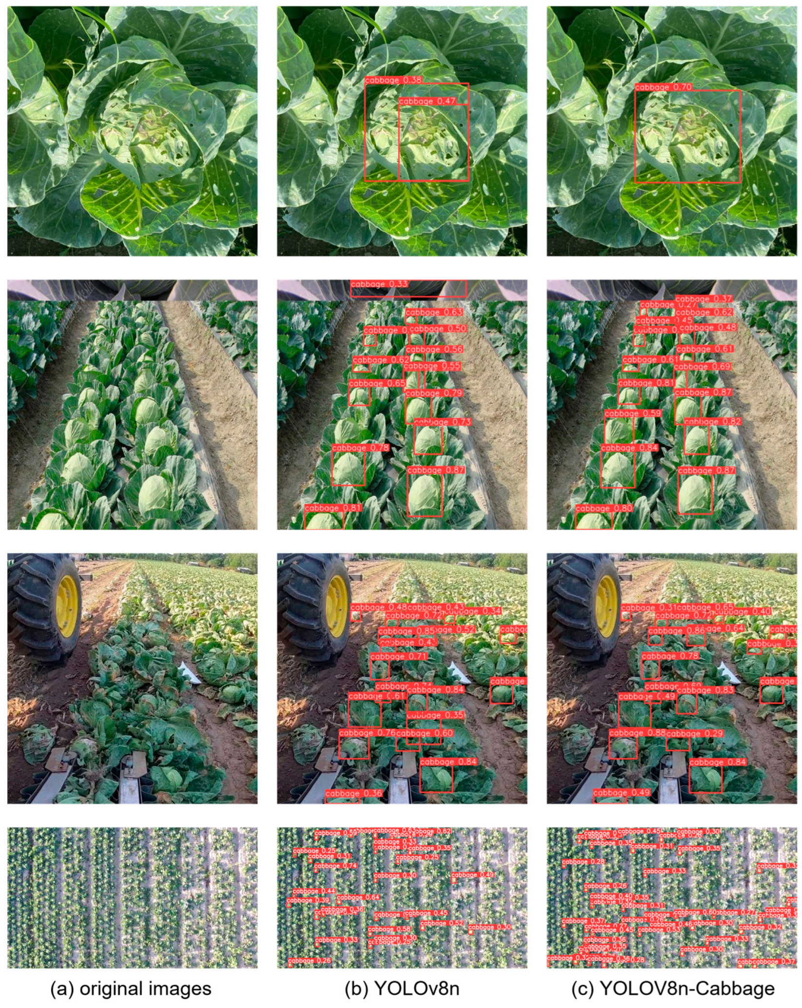 Agriculture 14 01125 g008