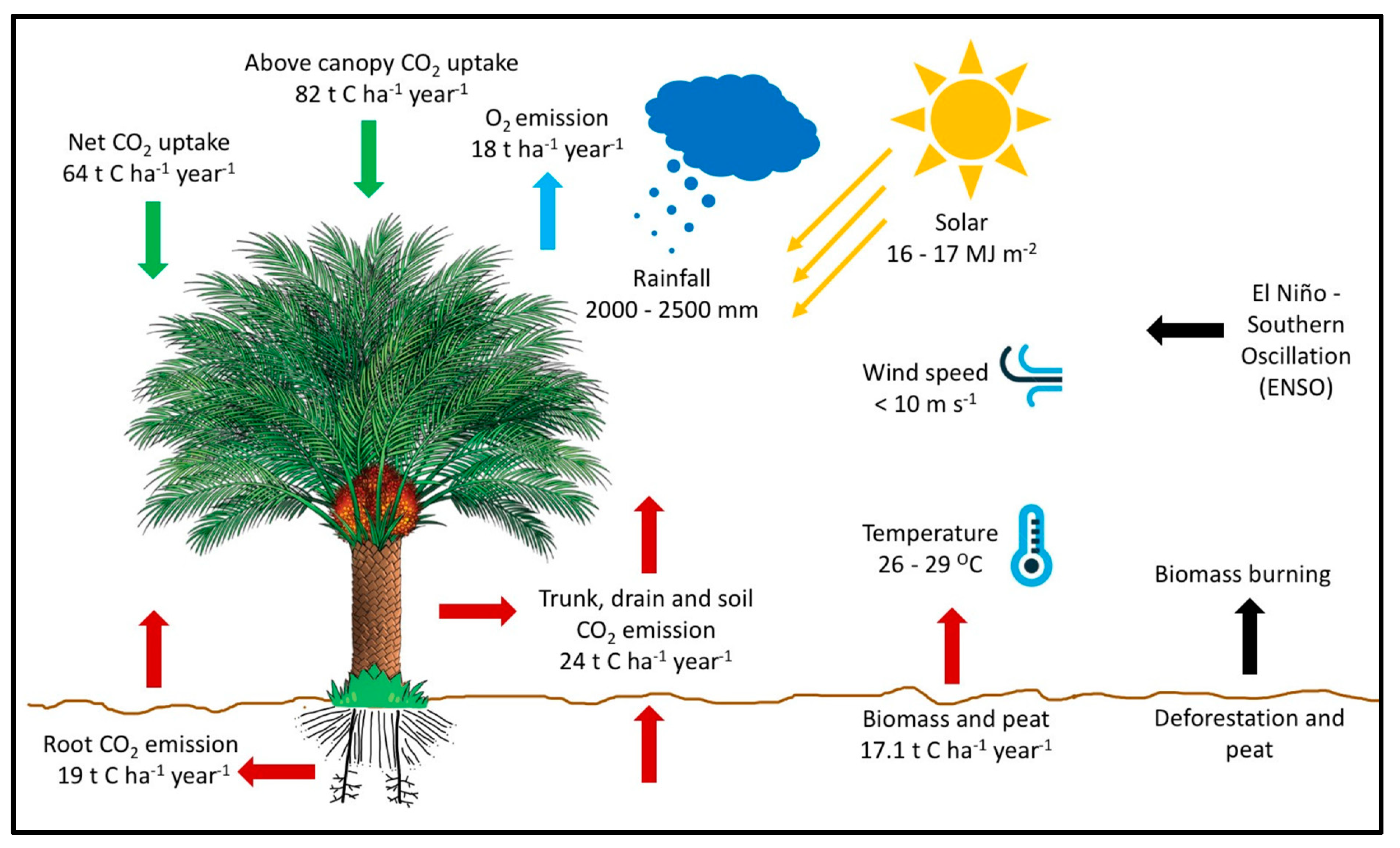 Agriculture 14 01133 g004 Agriculture 14 01133 g004