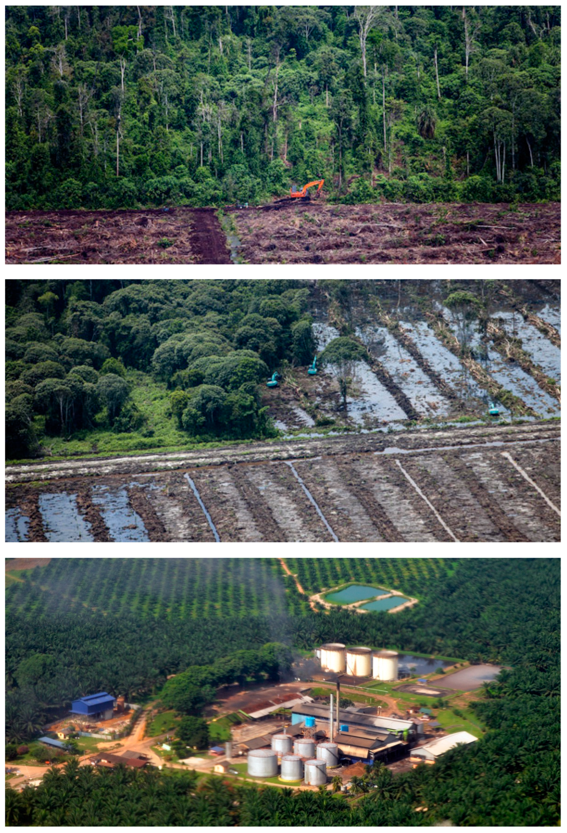 Agriculture 14 01133 g005 Agriculture 14 01133 g005