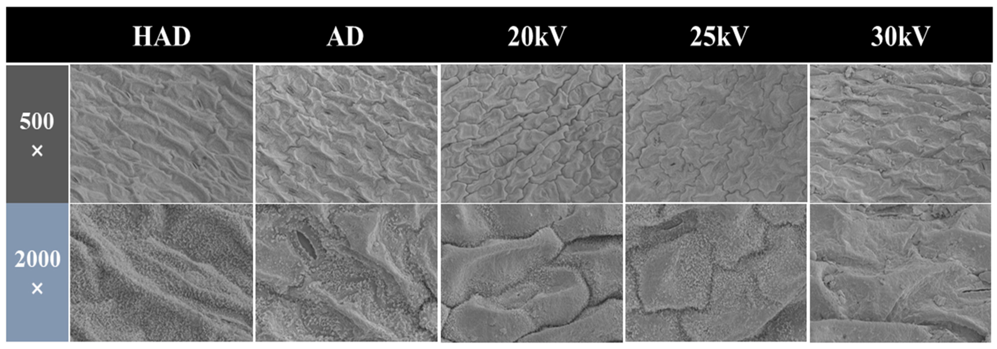 Agriculture 14 01134 g006