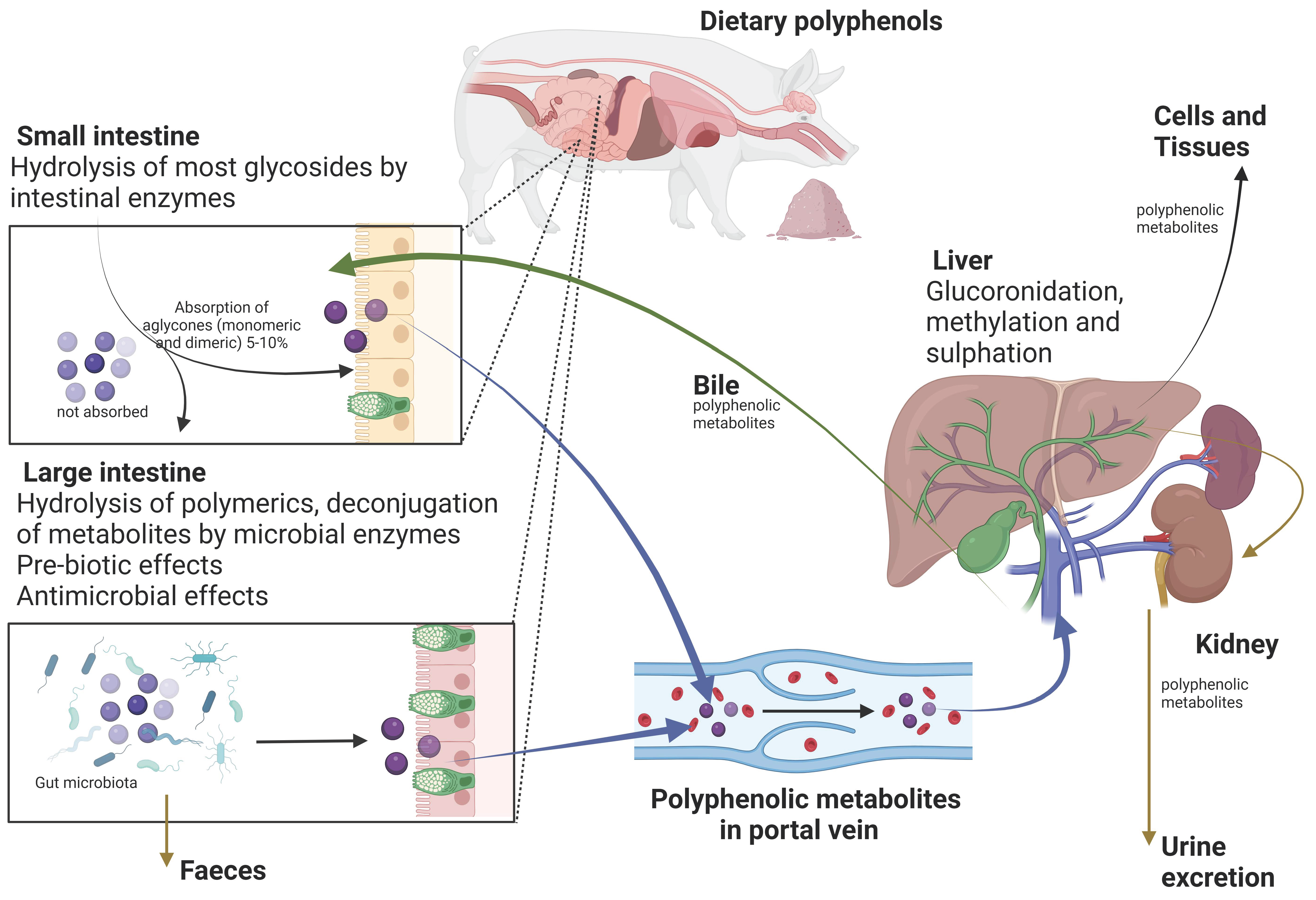 Agriculture 14 01142 g002 Agriculture 14 01142 g002