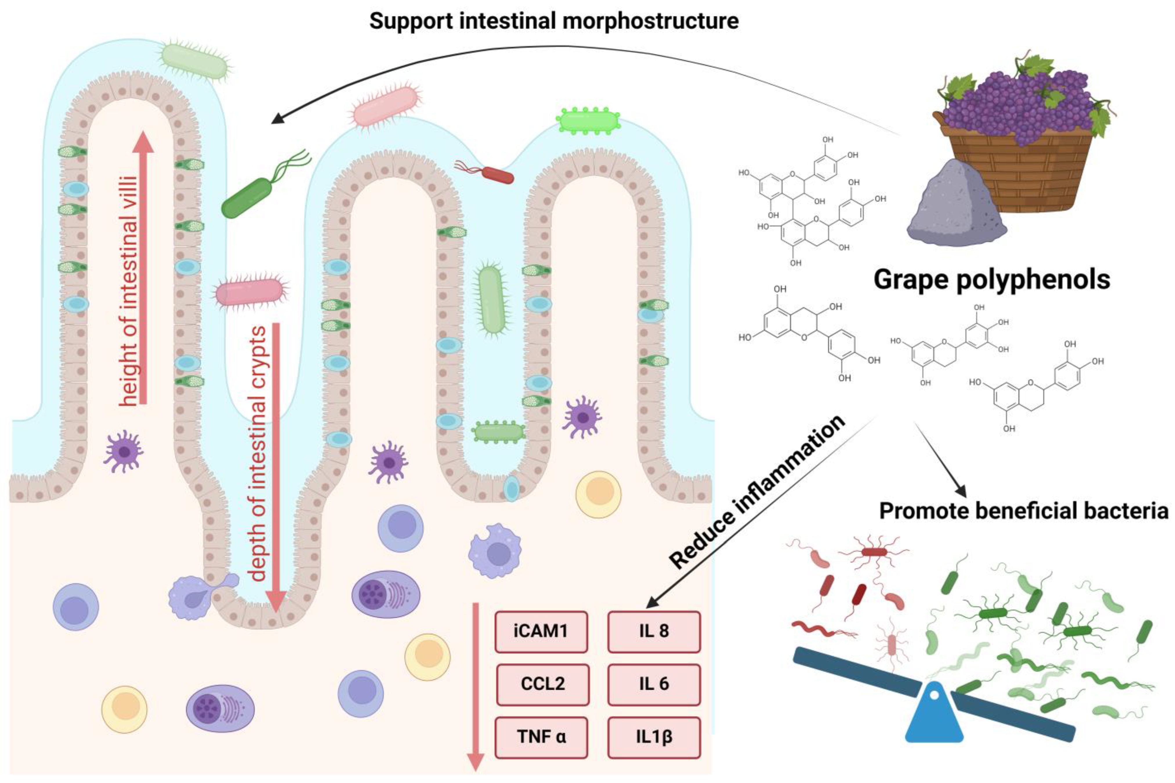 Agriculture 14 01142 g003 Agriculture 14 01142 g003