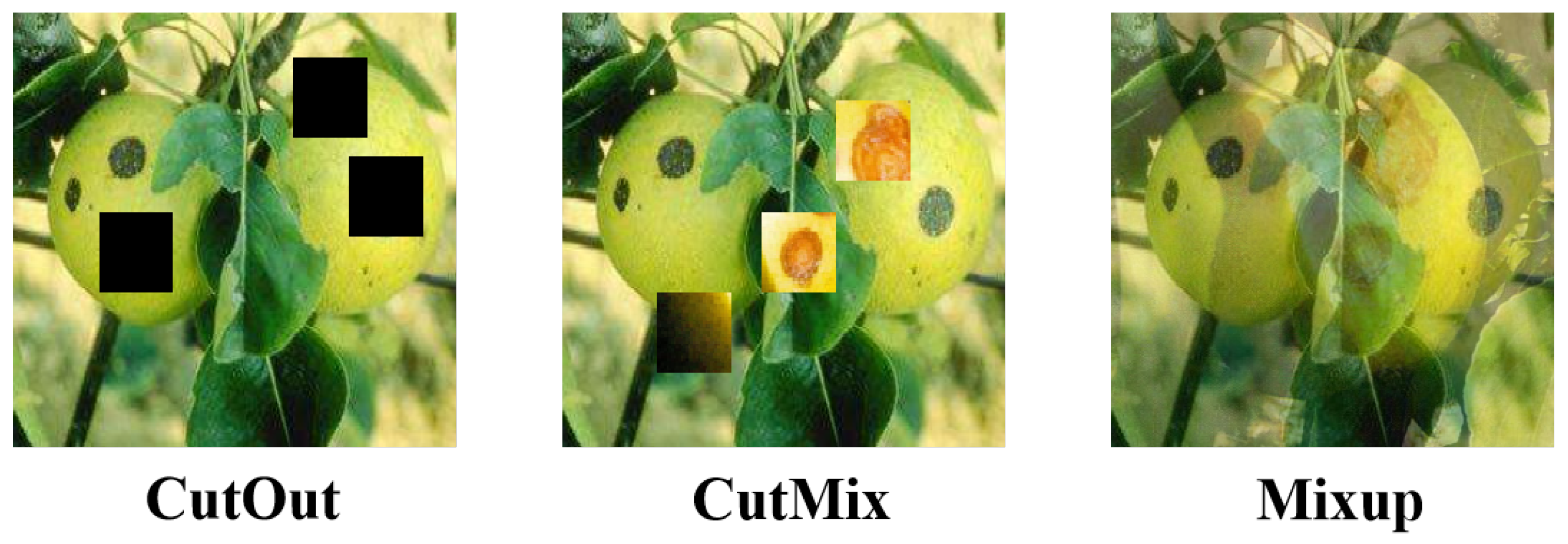 Agriculture 14 01146 g002