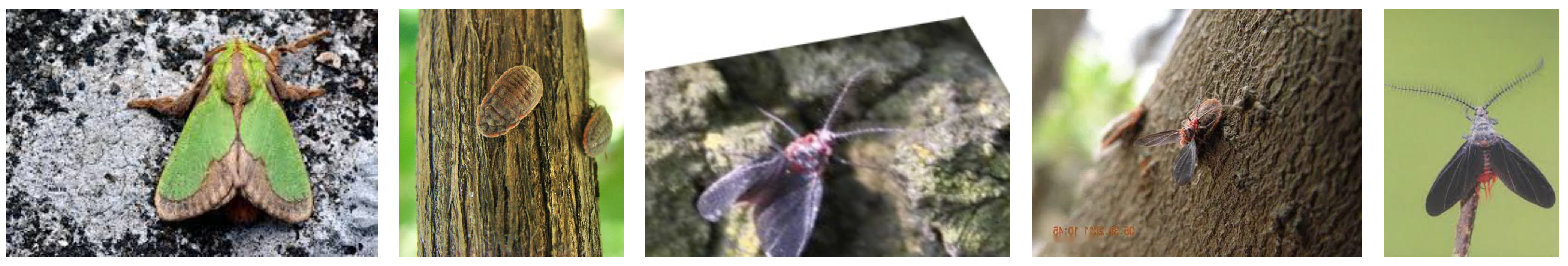 Agriculture 14 01146 g011