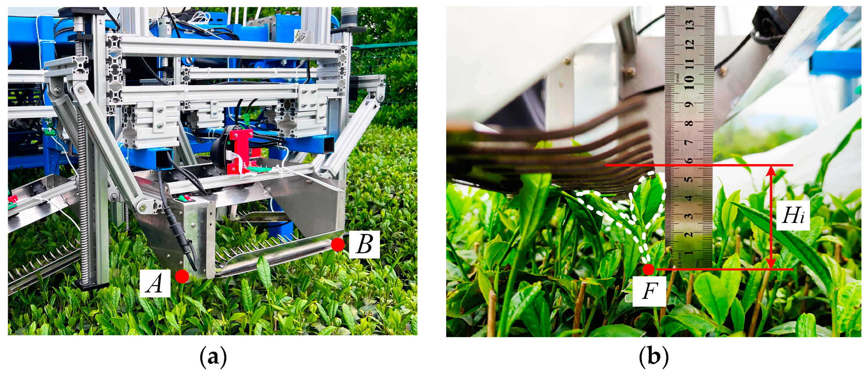 Agriculture 14 01147 g018