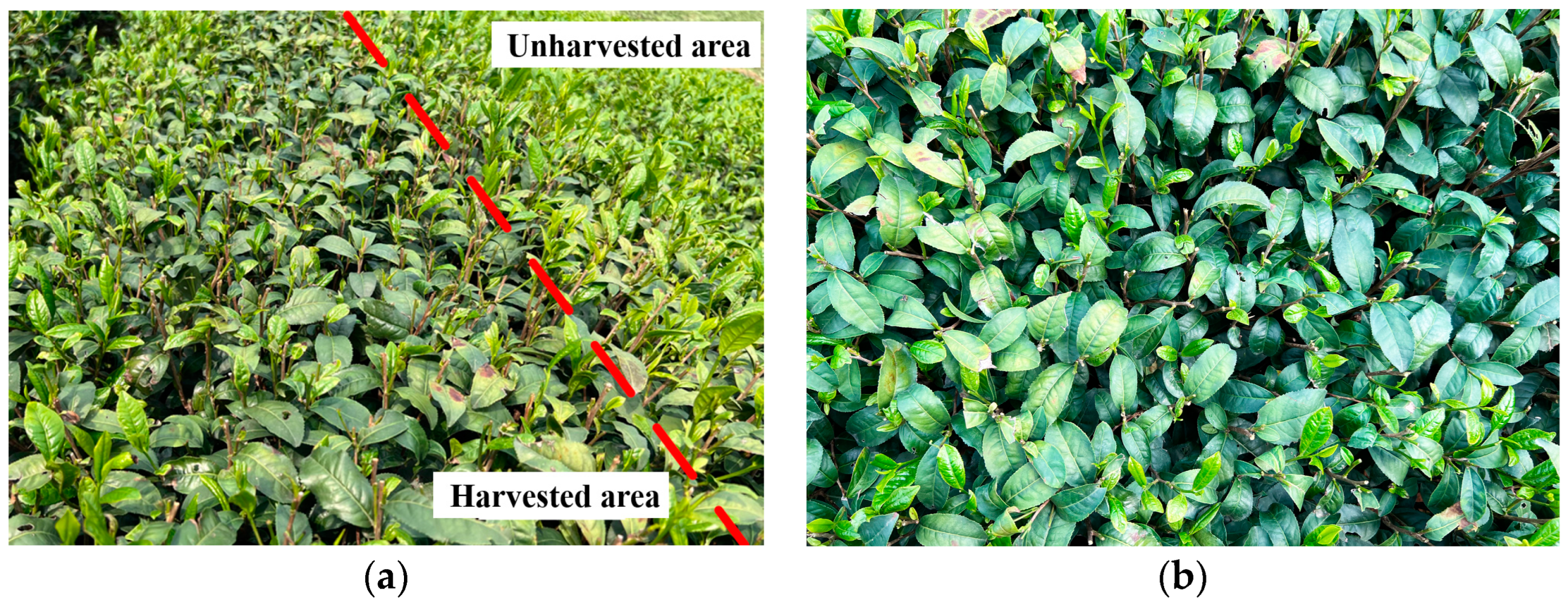 Agriculture 14 01147 g020