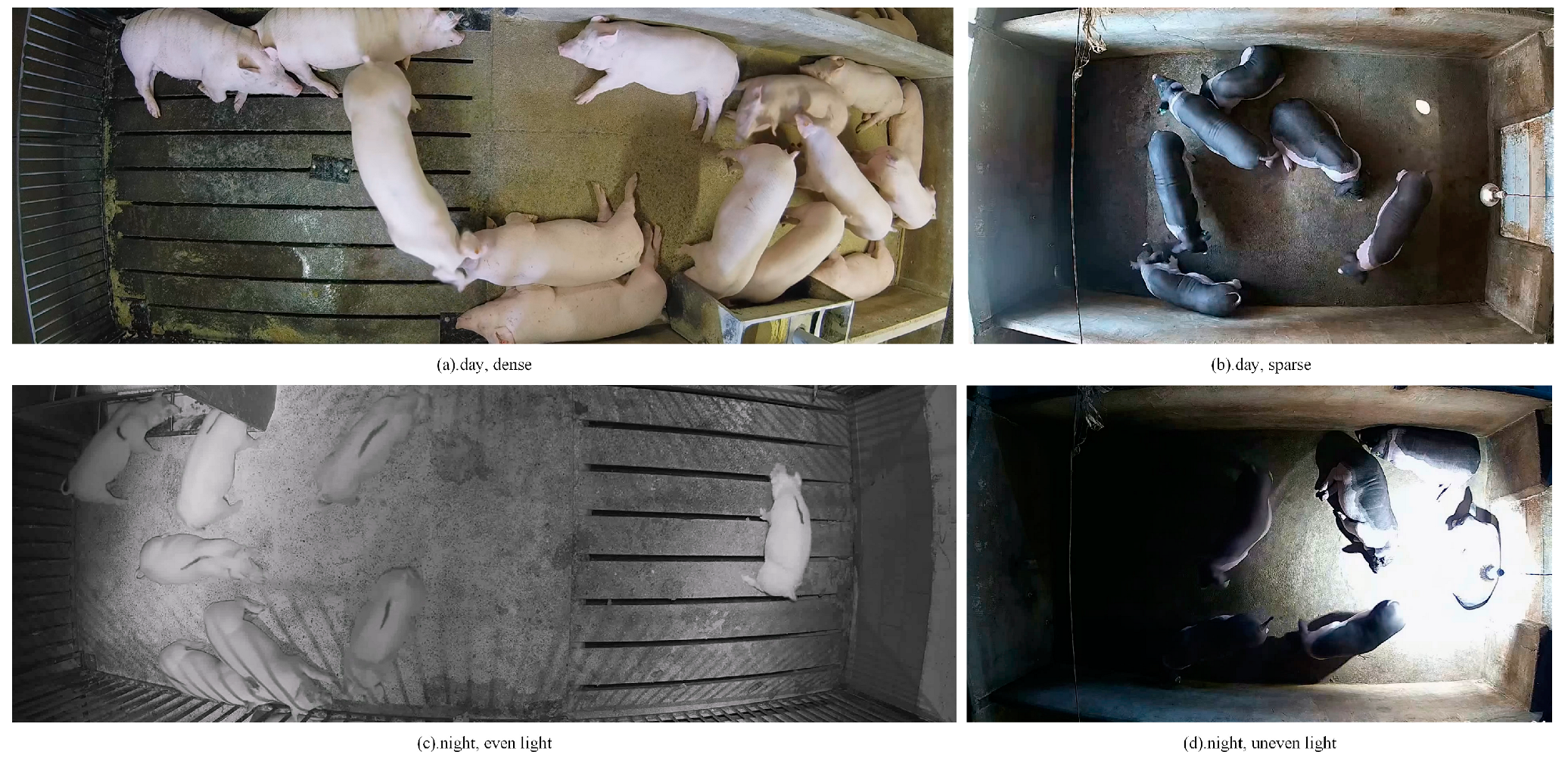 Agriculture 14 01158 g001