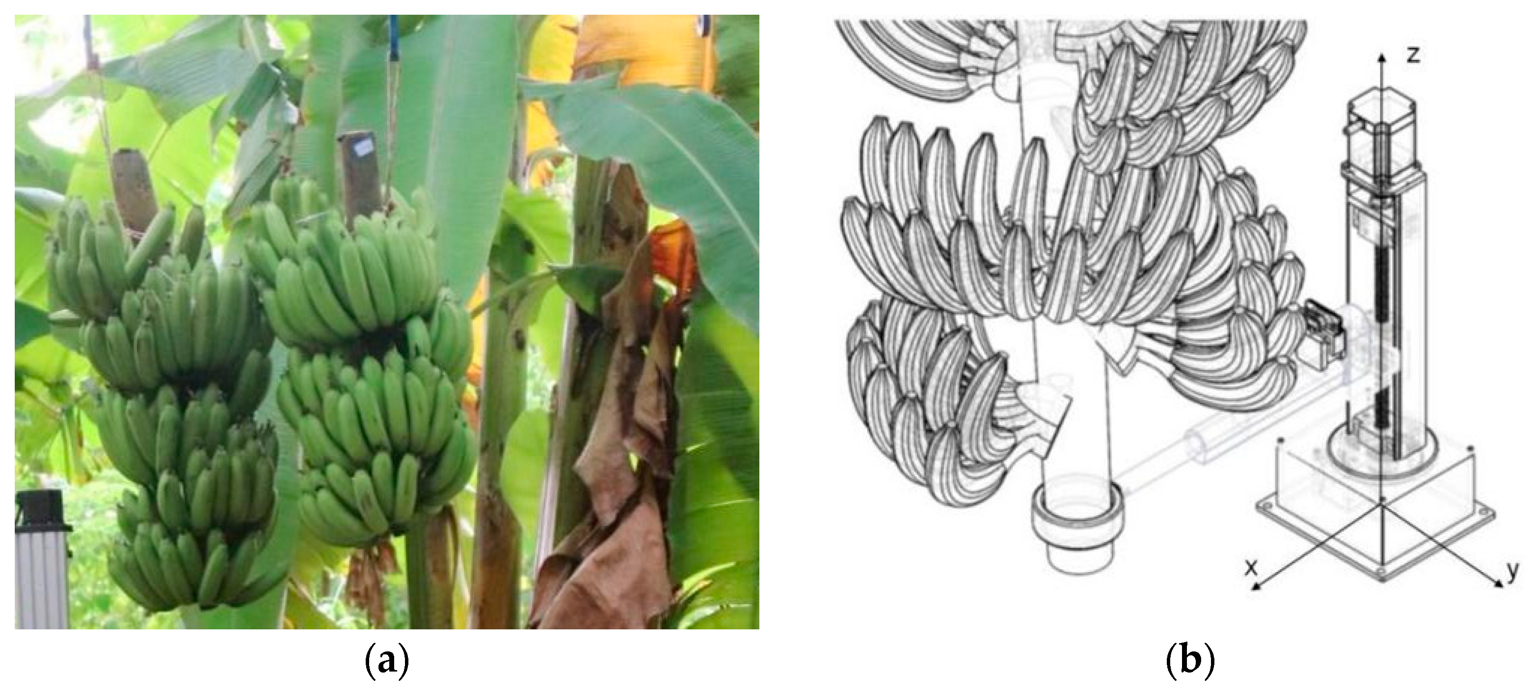 Agriculture 14 01161 g003