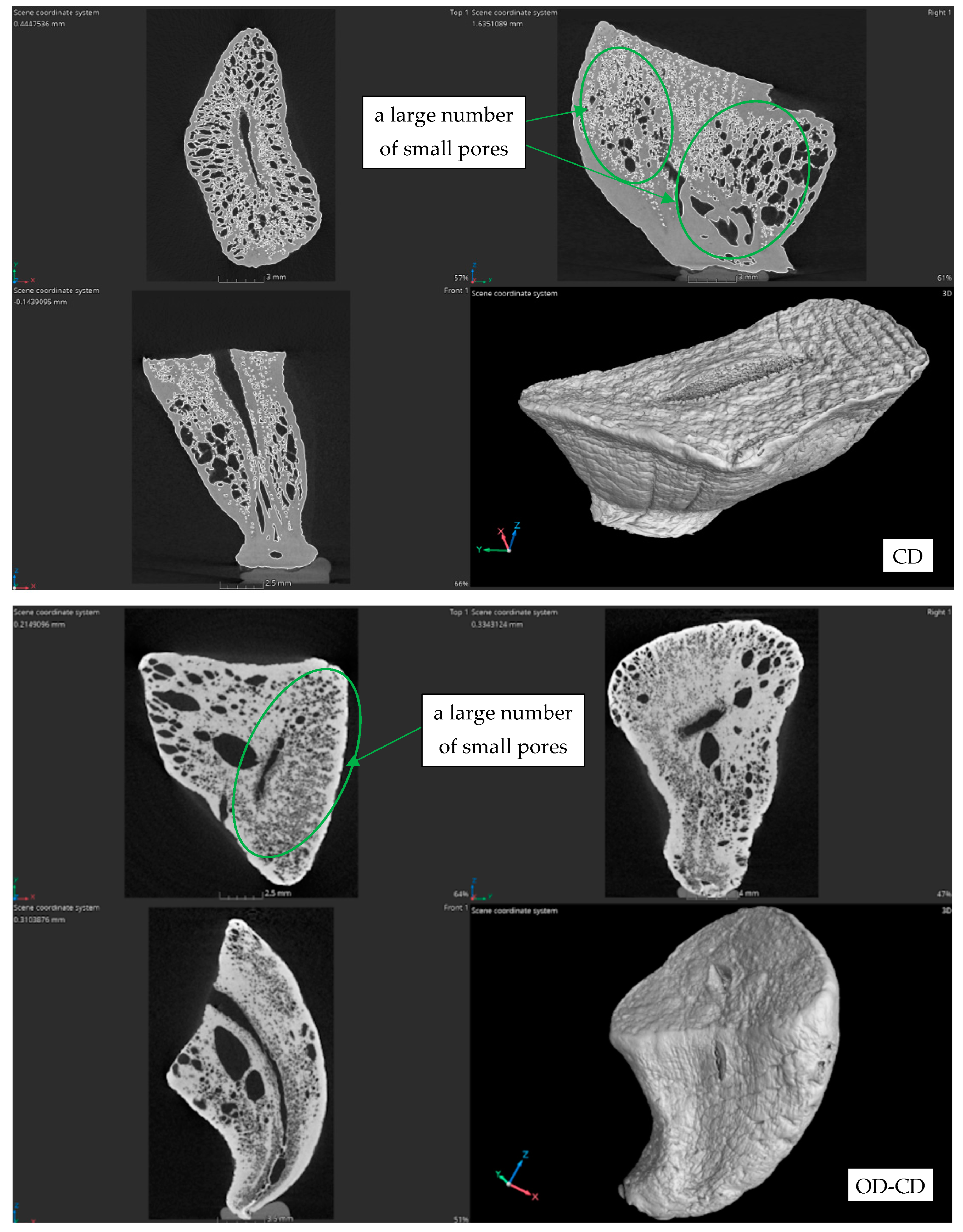 Agriculture 14 01164 g008a Agriculture 14 01164 g008a