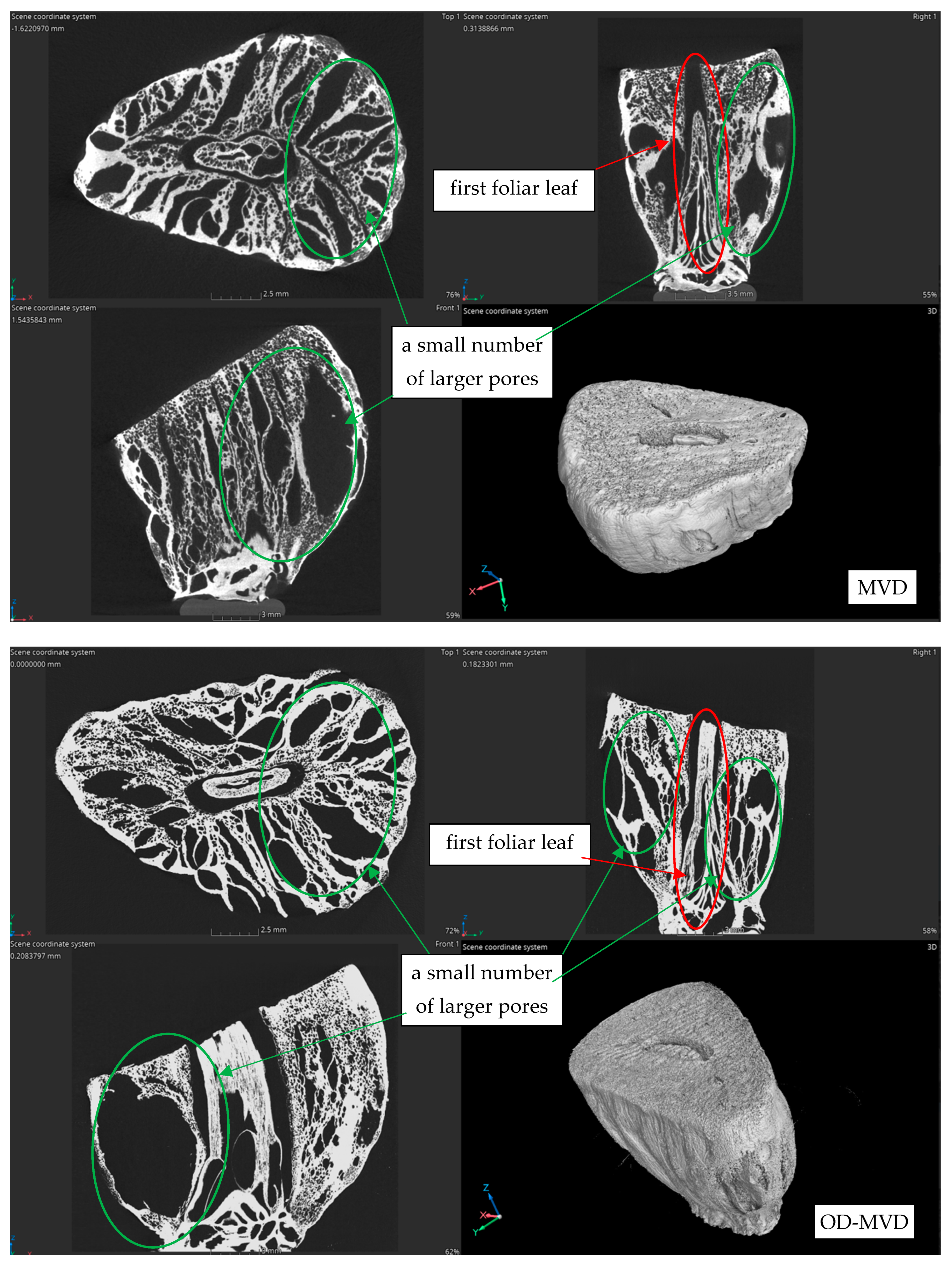 Agriculture 14 01164 g008b Agriculture 14 01164 g008b