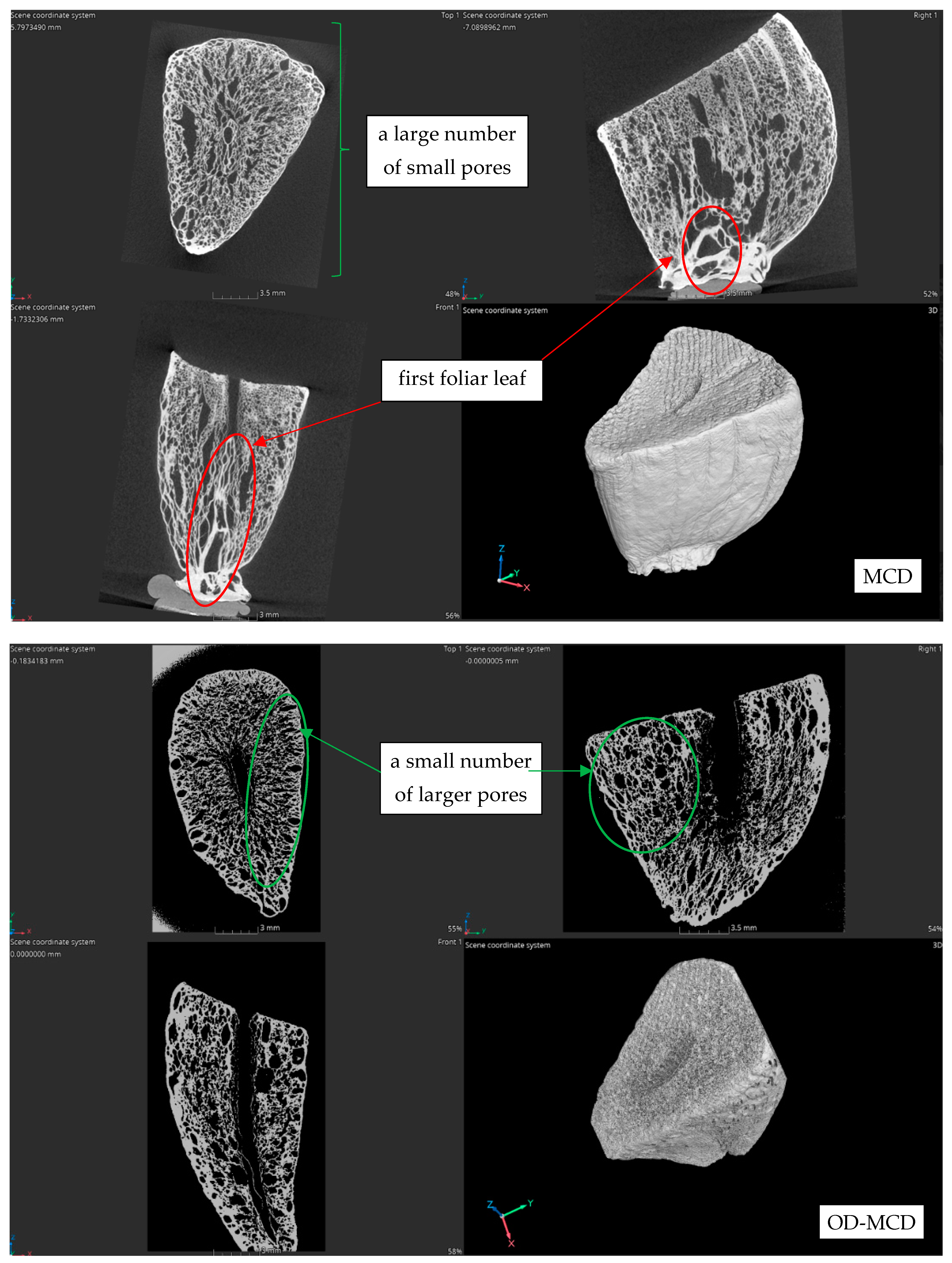 Agriculture 14 01164 g008c Agriculture 14 01164 g008c