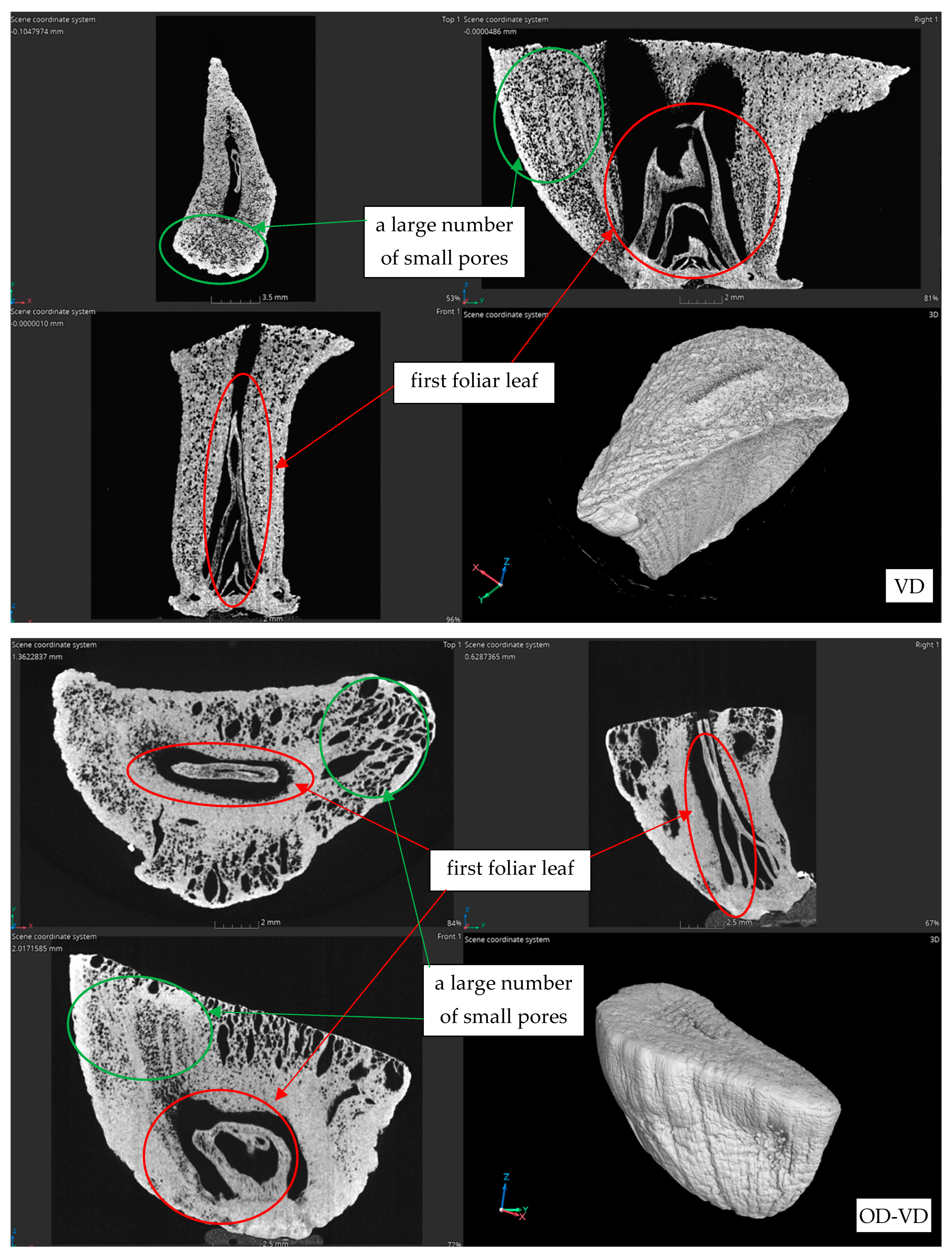 Agriculture 14 01164 g008d Agriculture 14 01164 g008d