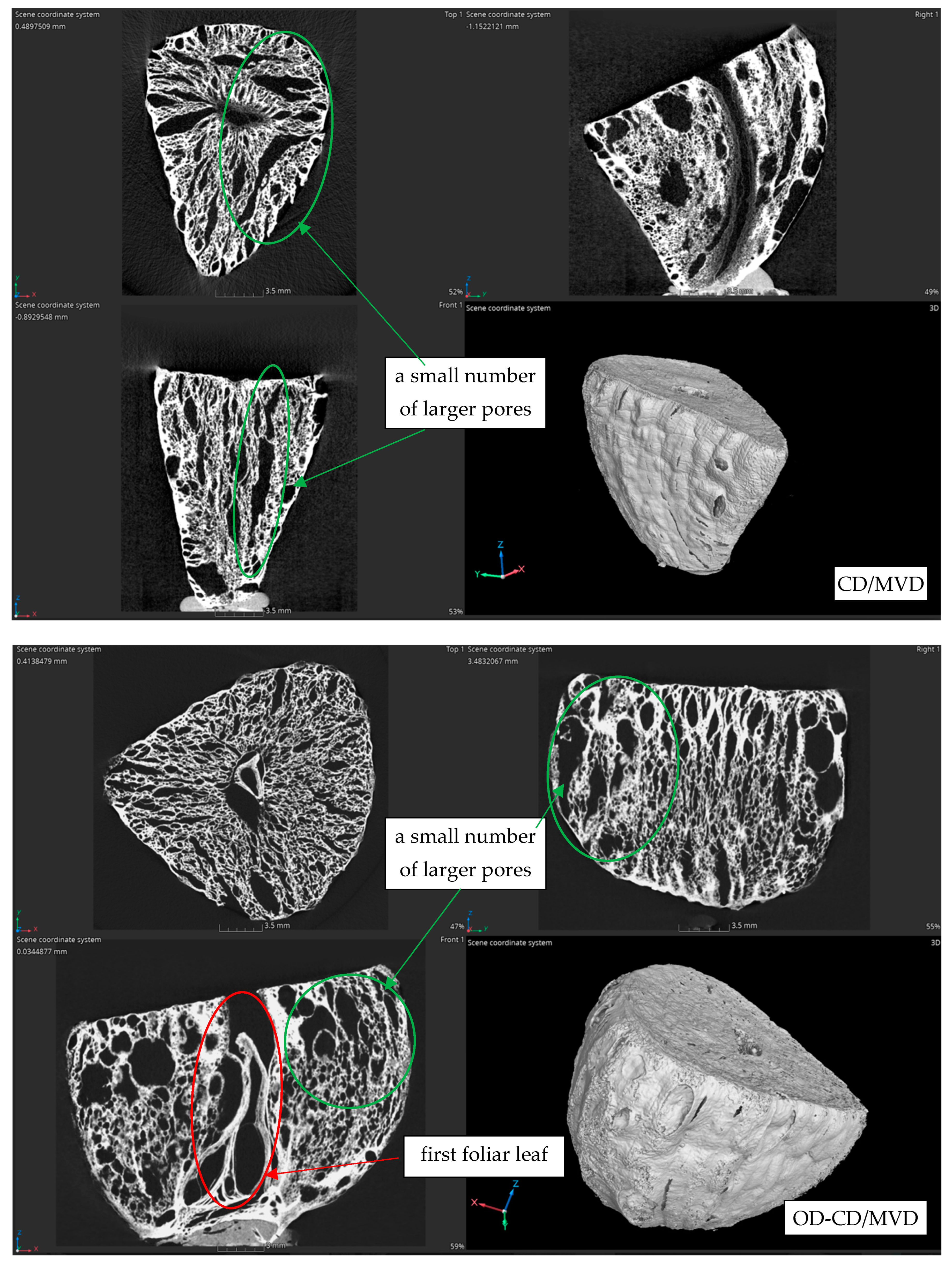 Agriculture 14 01164 g008e Agriculture 14 01164 g008e