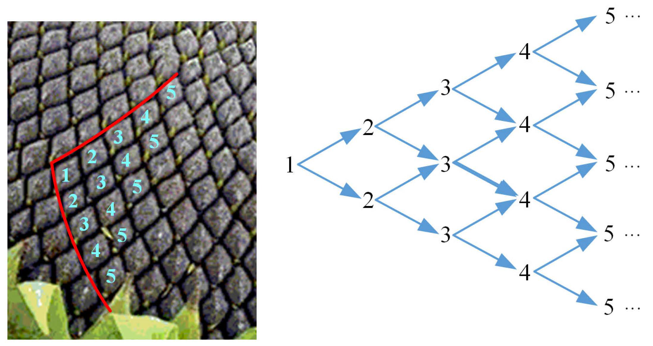 Agriculture 14 01169 g007