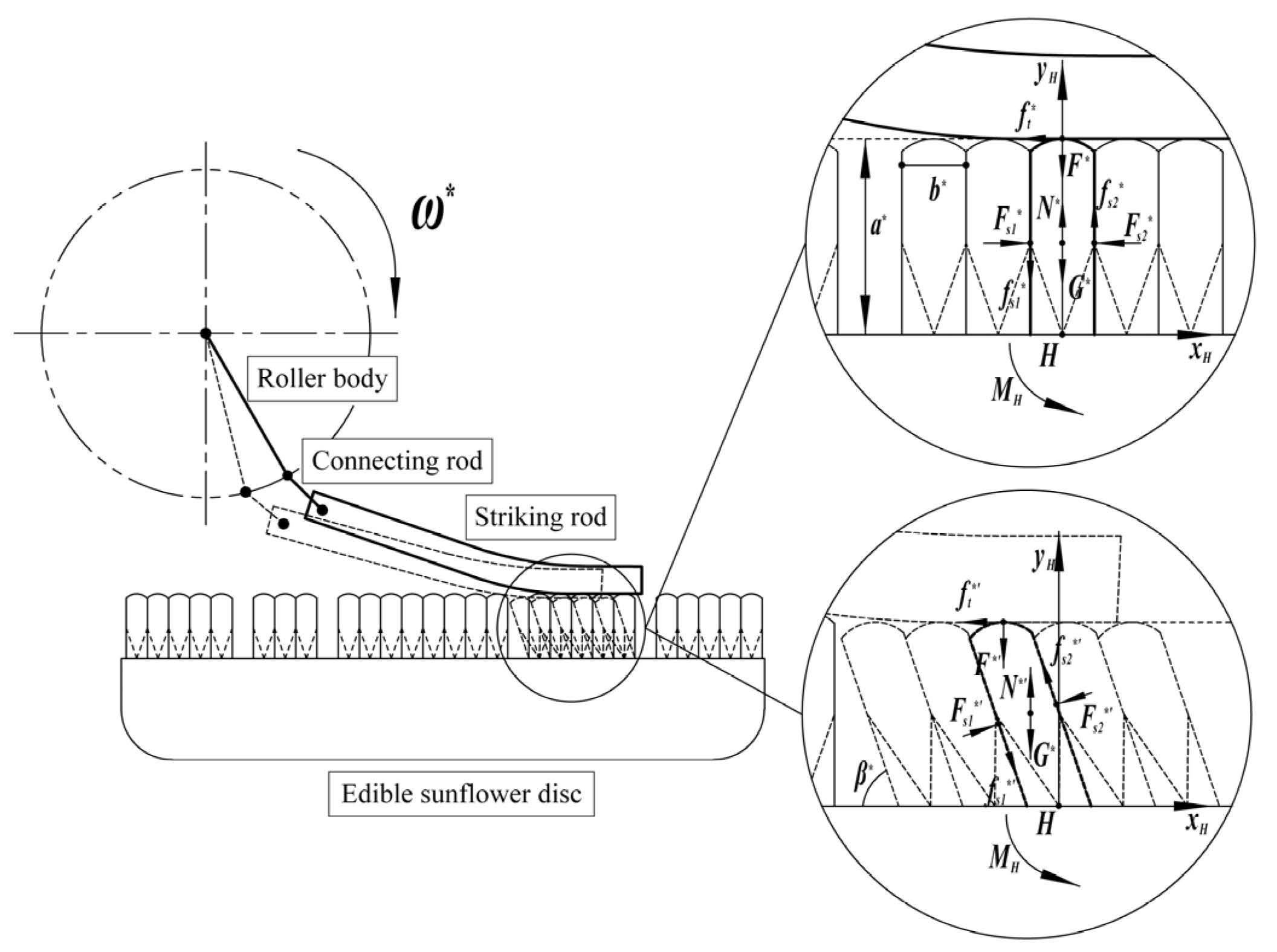 Agriculture 14 01169 g011
