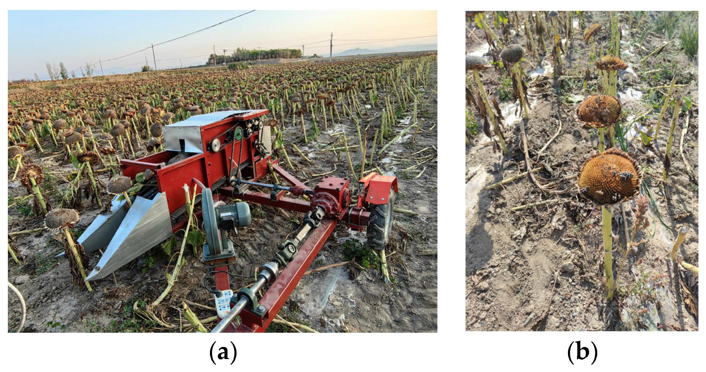 Agriculture 14 01169 g017