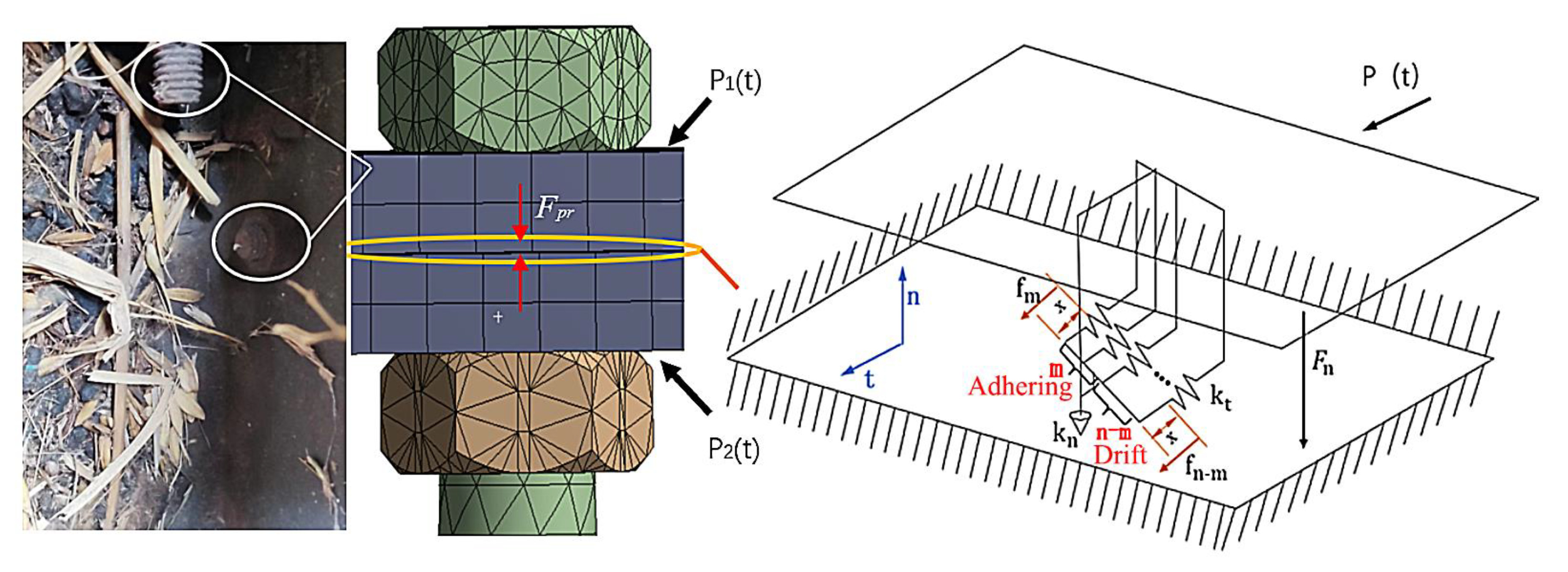 Agriculture 14 01174 g041