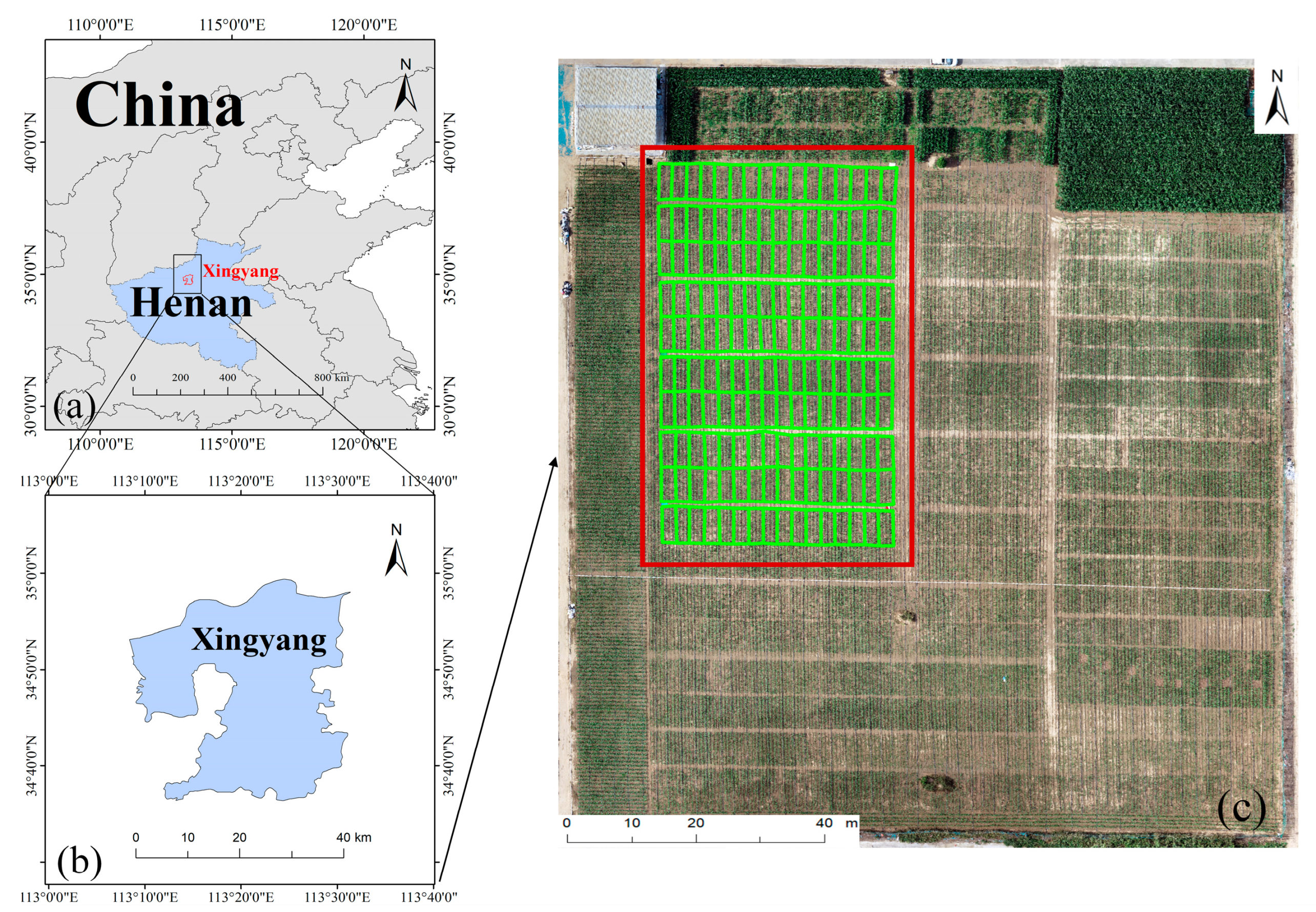 Agriculture 14 01175 g001