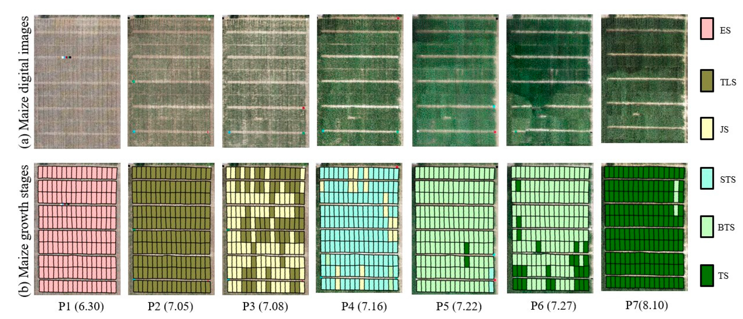 Agriculture 14 01175 g010