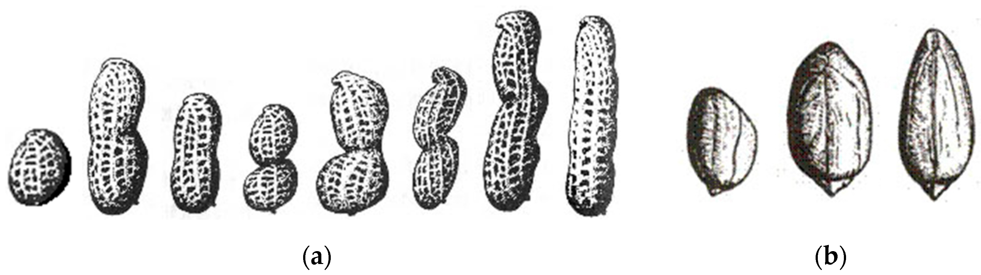 Agriculture 14 01178 g001