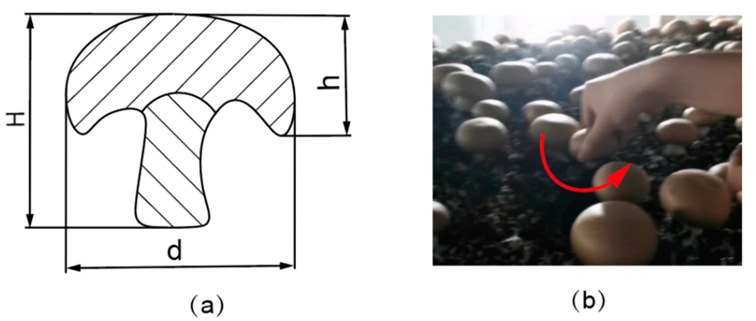 Agriculture 14 01181 g001