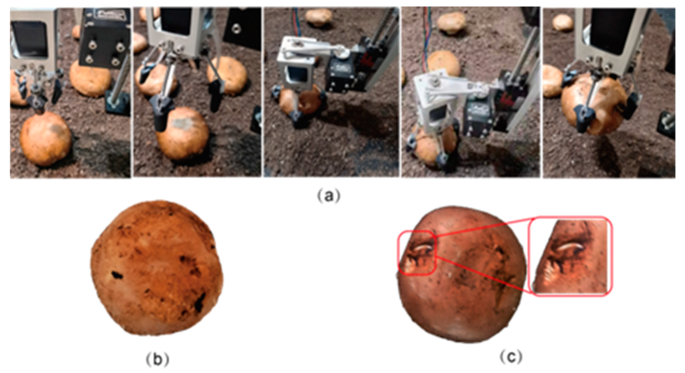 Agriculture 14 01181 g009