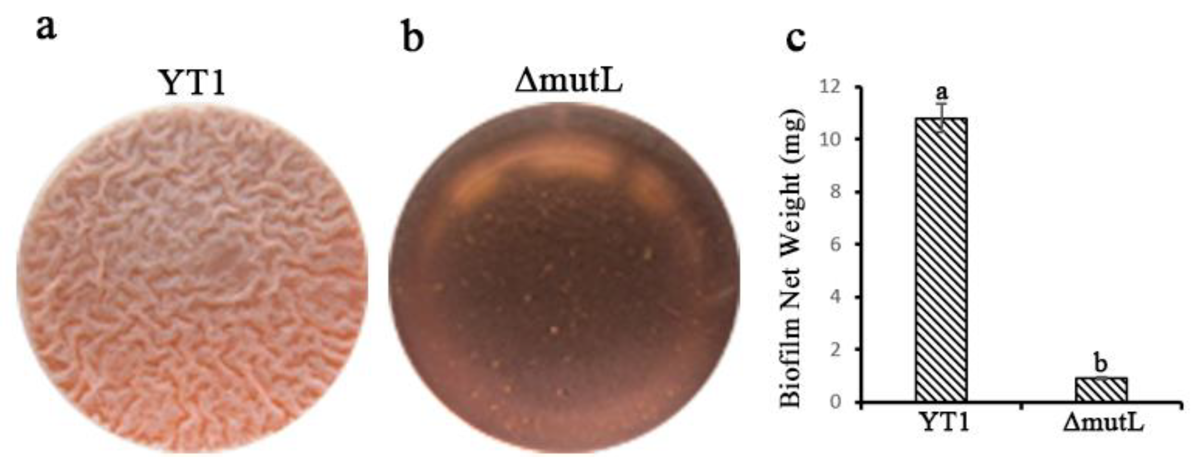 Agriculture 14 01193 g001