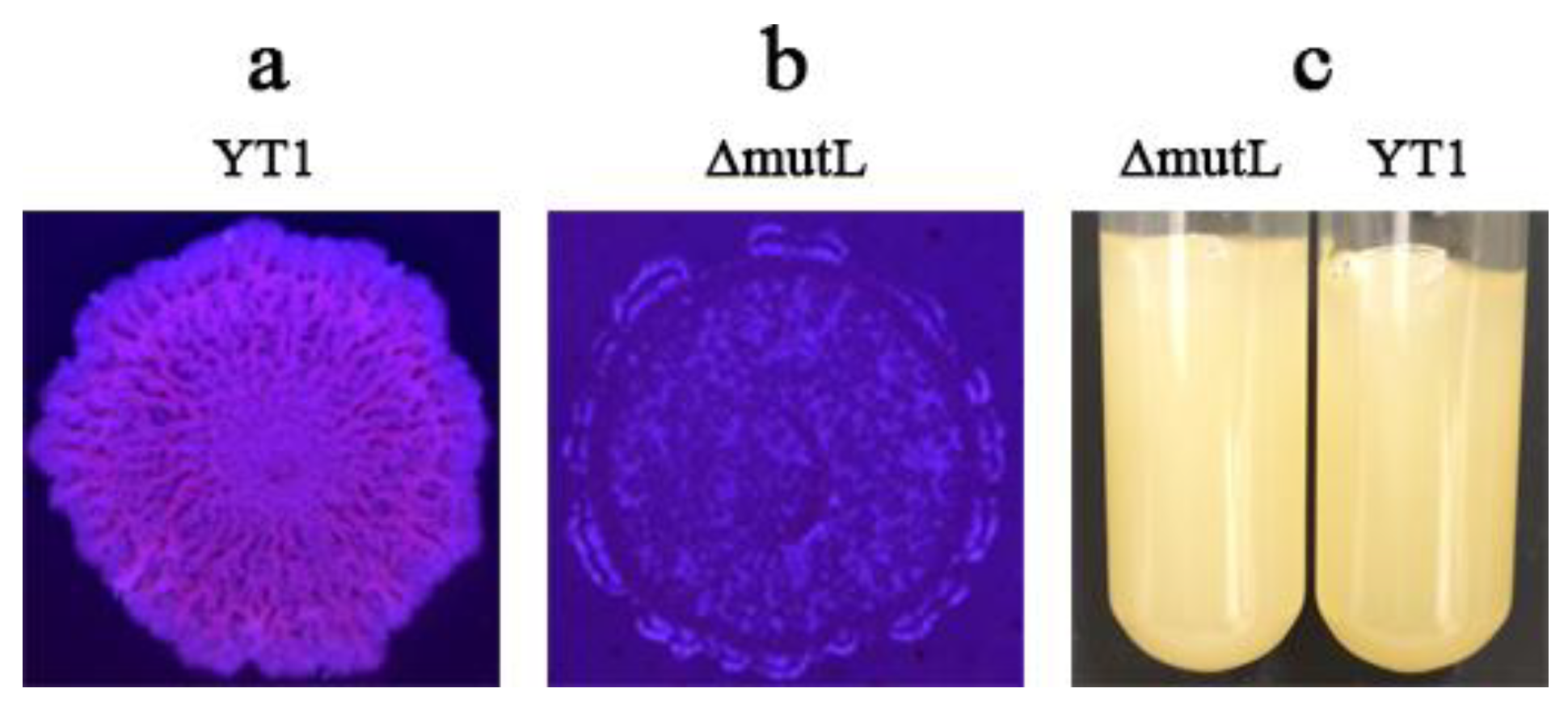 Agriculture 14 01193 g002