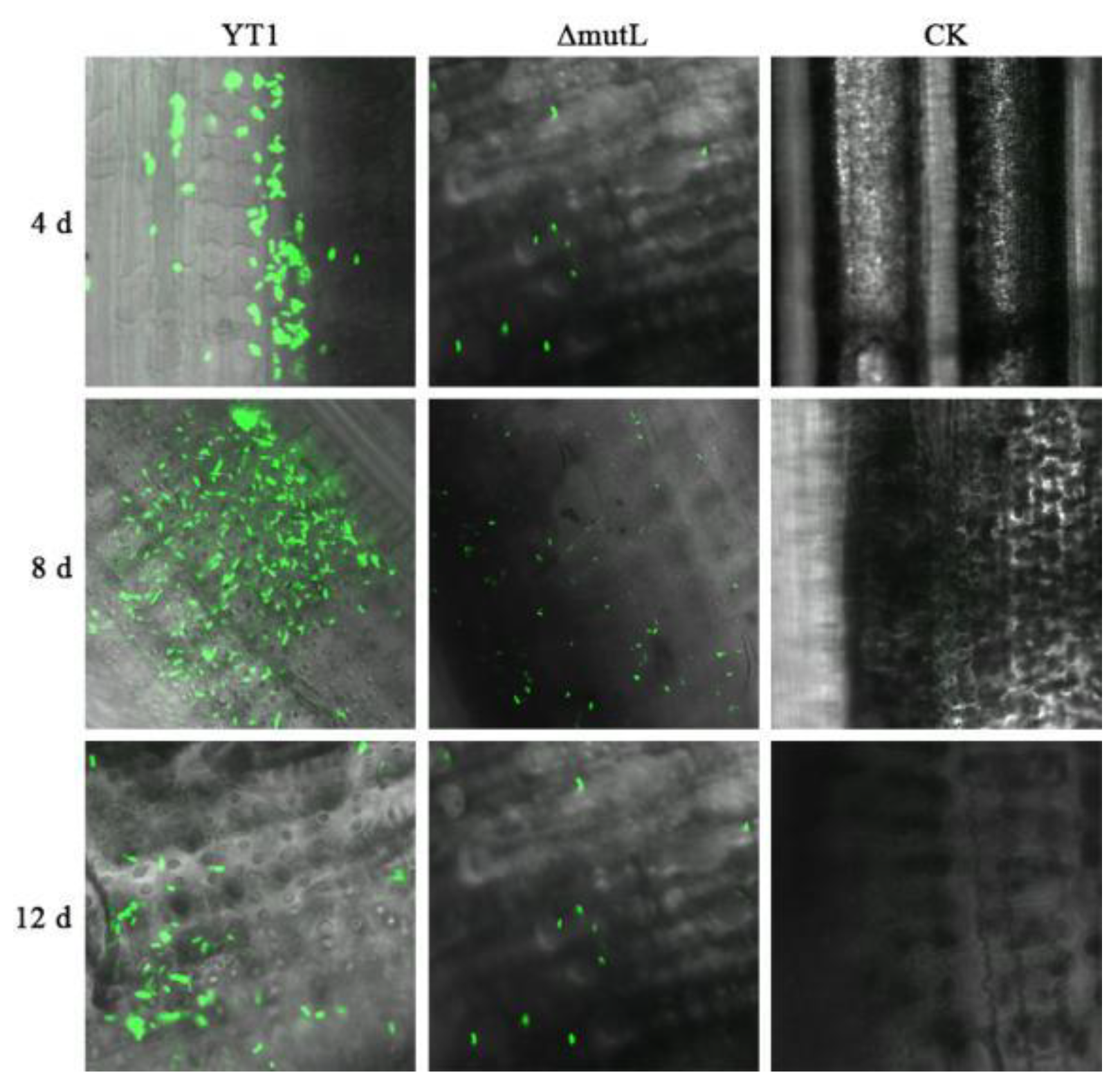 Agriculture 14 01193 g004