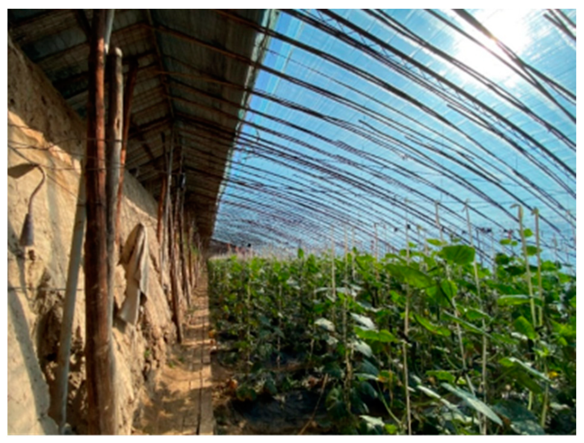 Agriculture 14 01195 g001