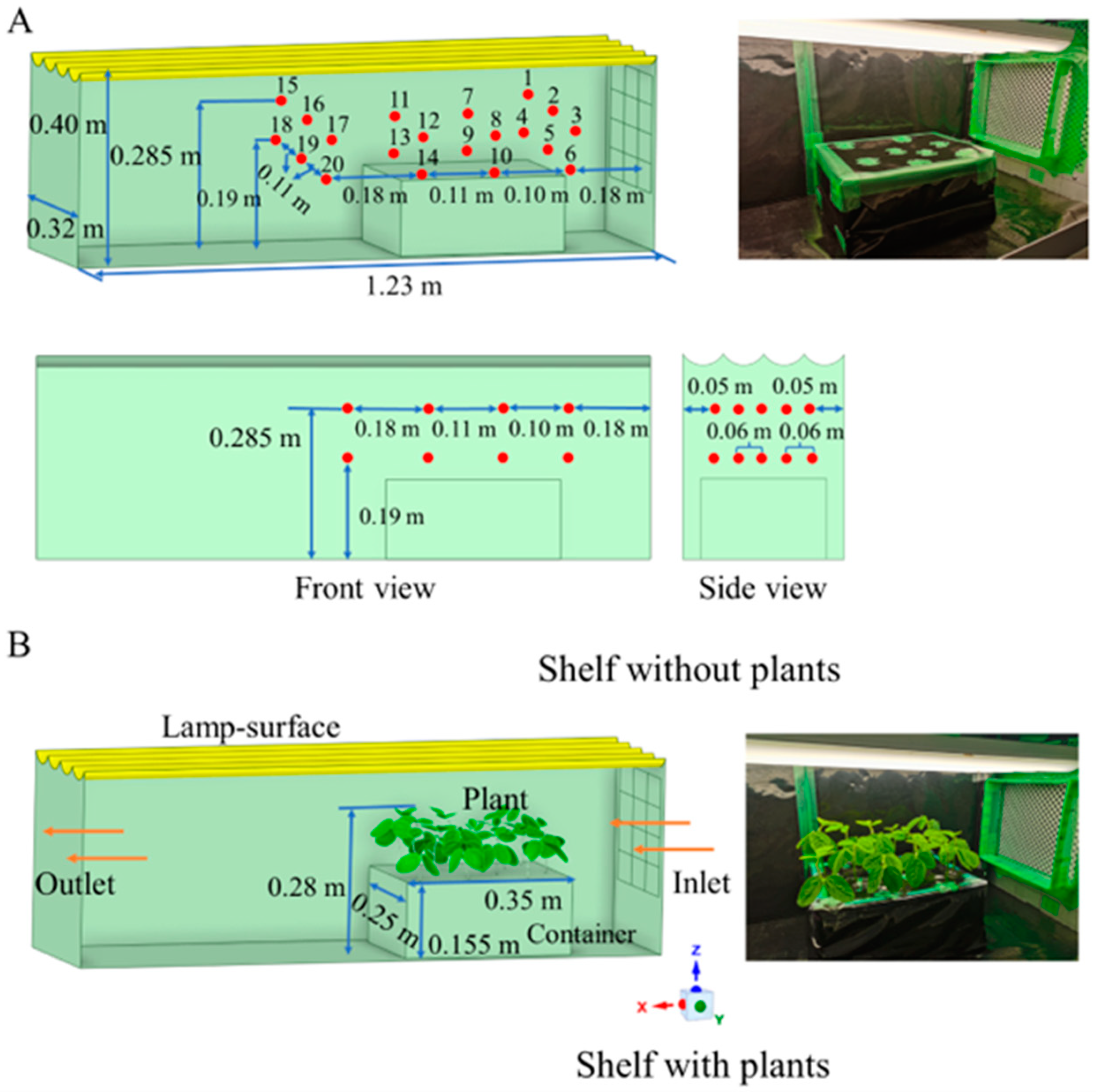 Computational Fluid Dynamics Model with Realistic Plant Structures 