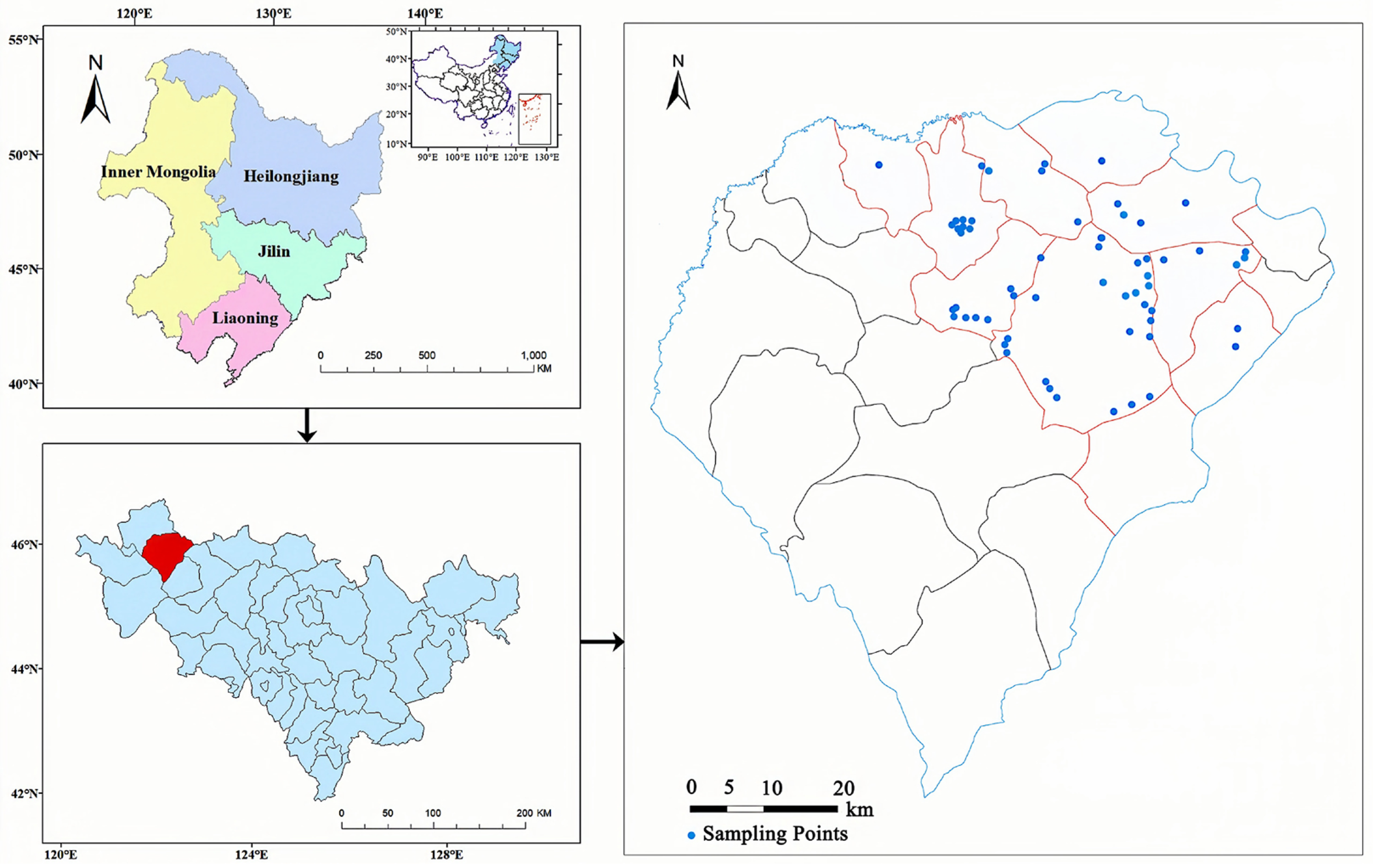 Agriculture 14 01200 g001