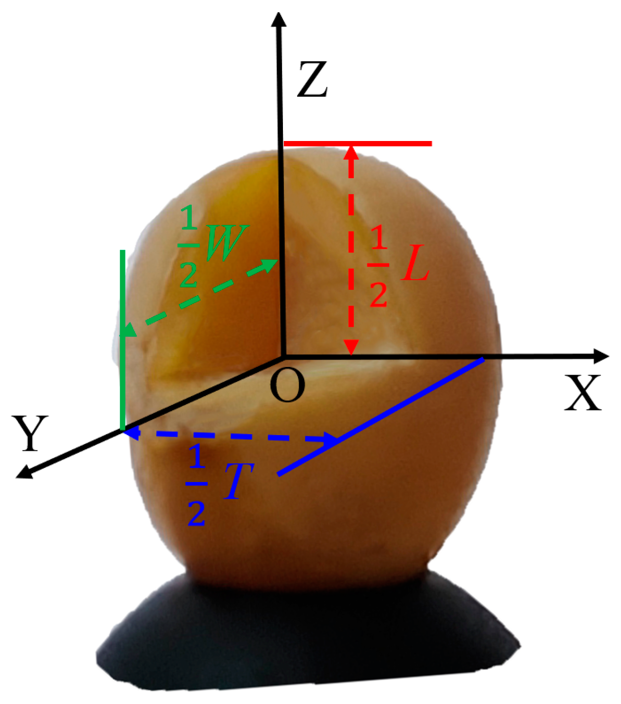 Agriculture 14 01201 g001