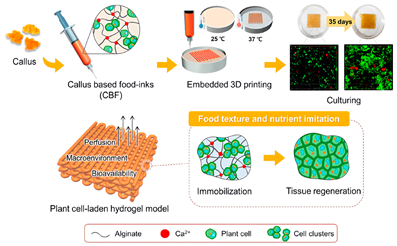 Agriculture 14 01207 i003