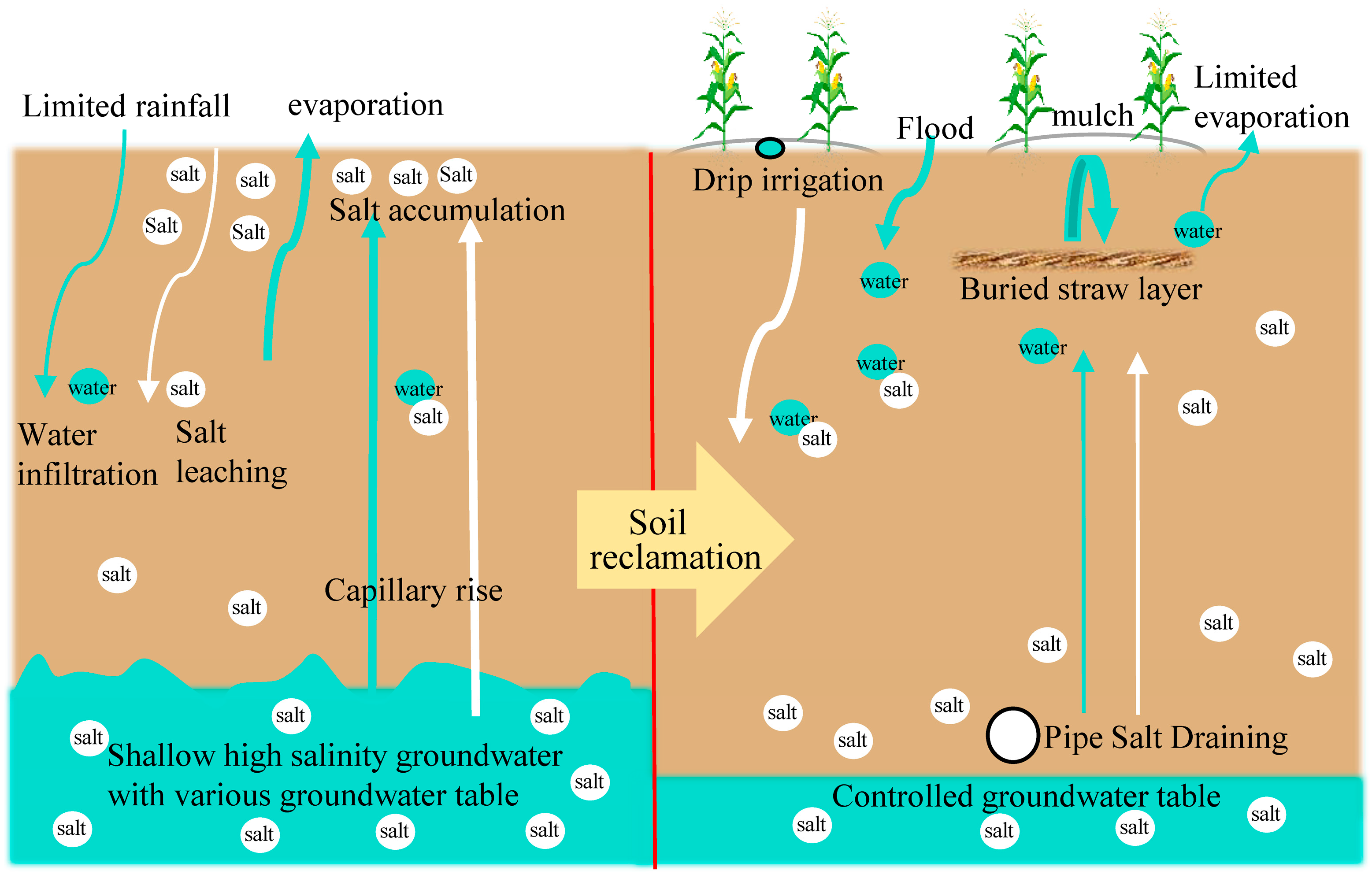 Agriculture 14 01210 g003