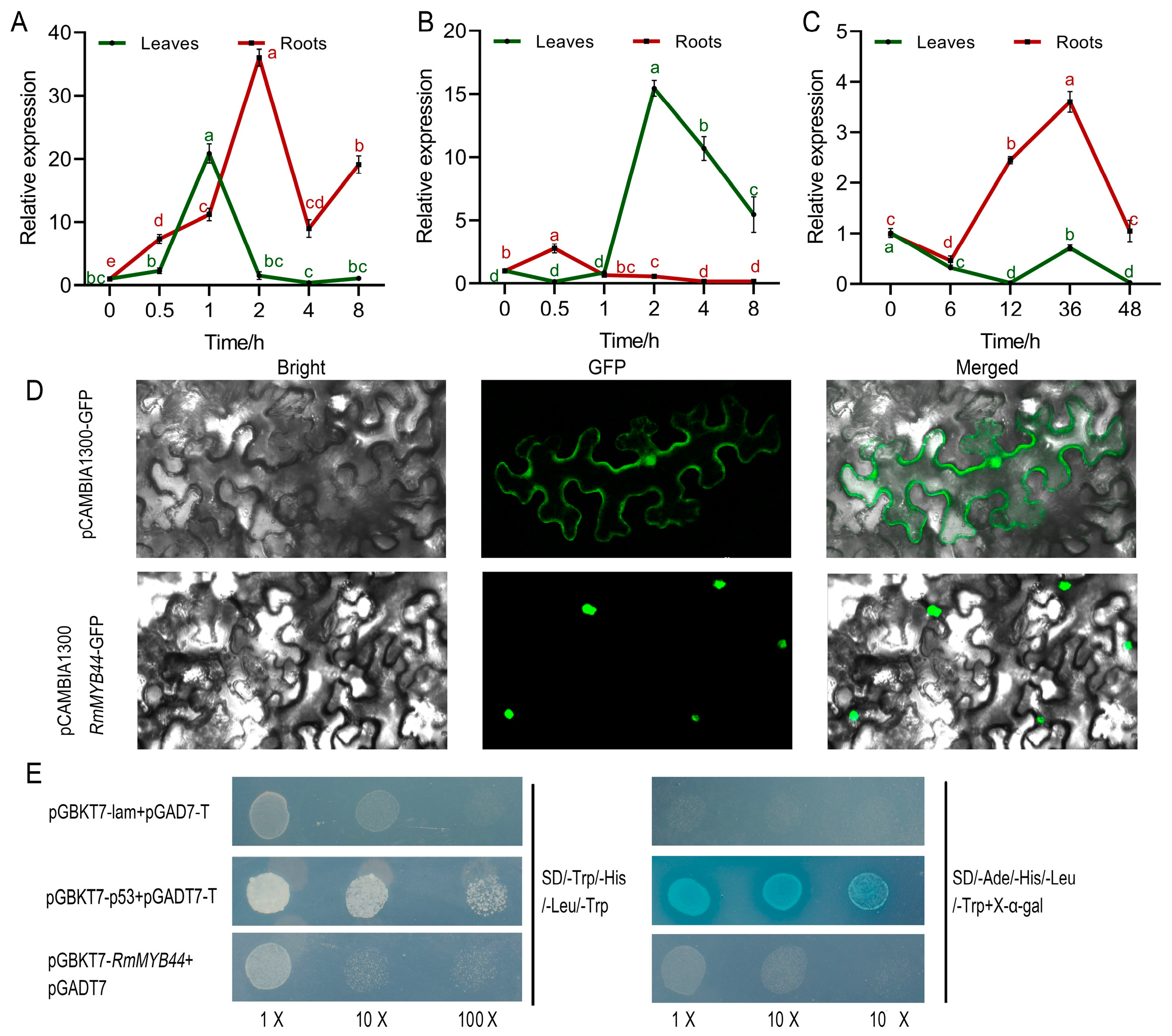 Agriculture 14 01212 g002