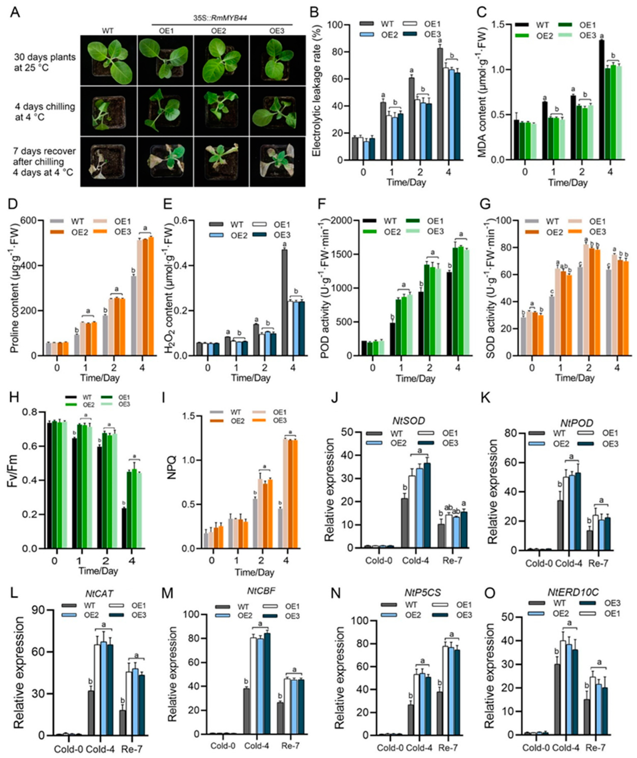 Agriculture 14 01212 g004