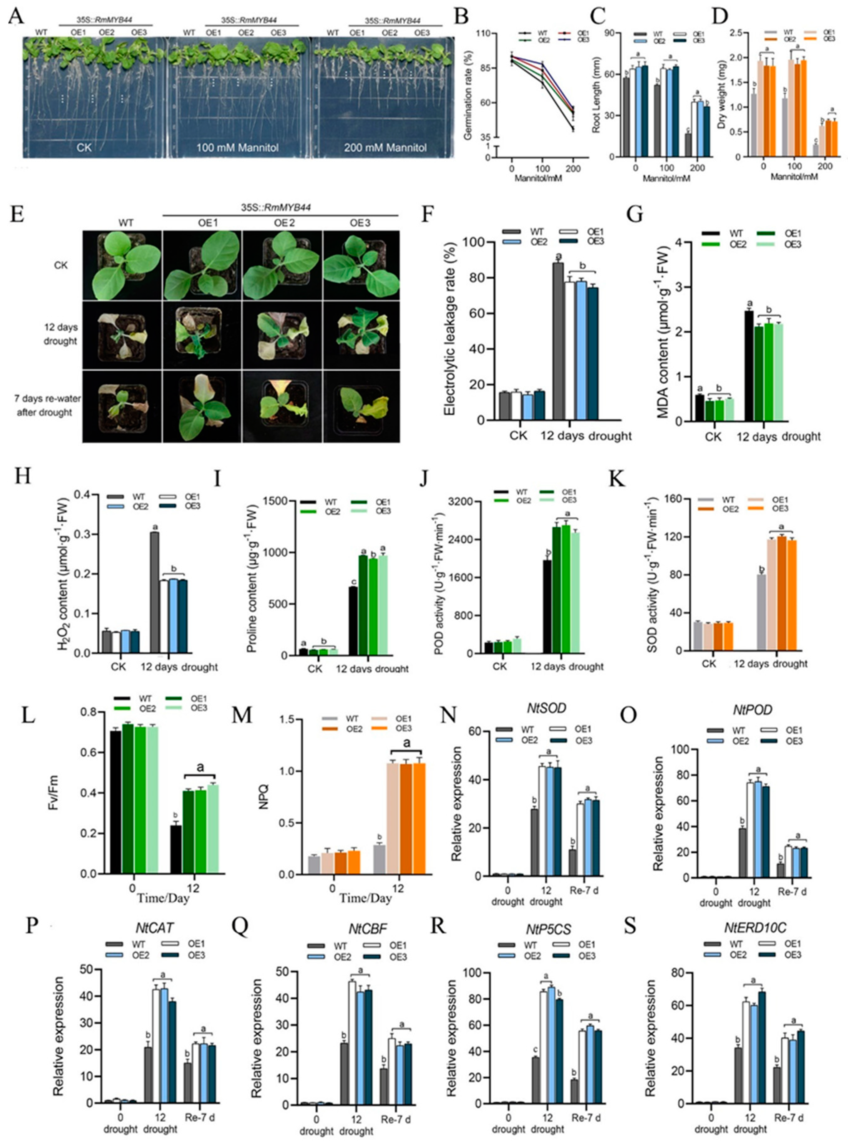 Agriculture 14 01212 g006