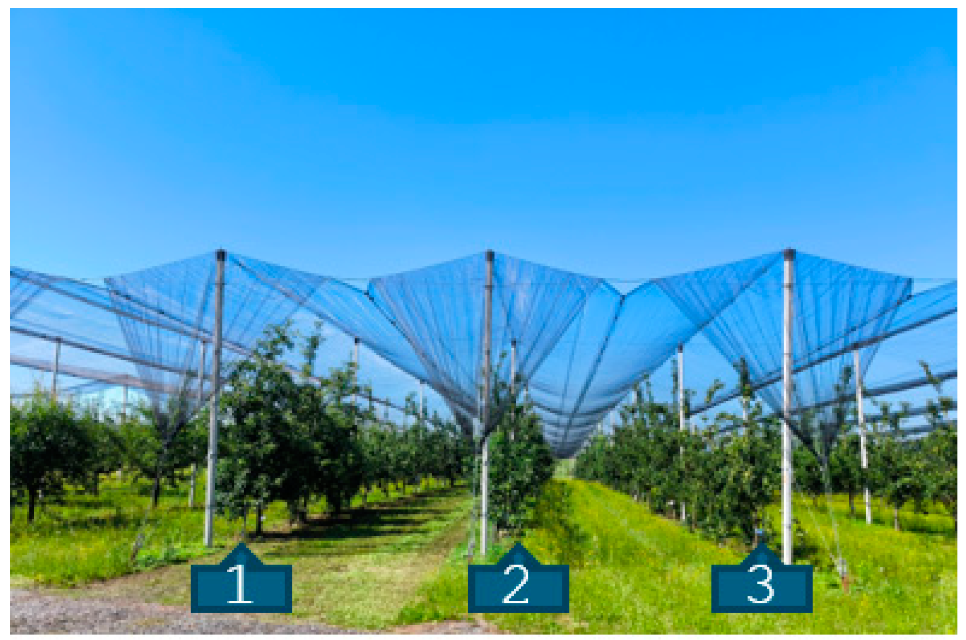 Agriculture 14 01239 g001 Agriculture 14 01239 g001