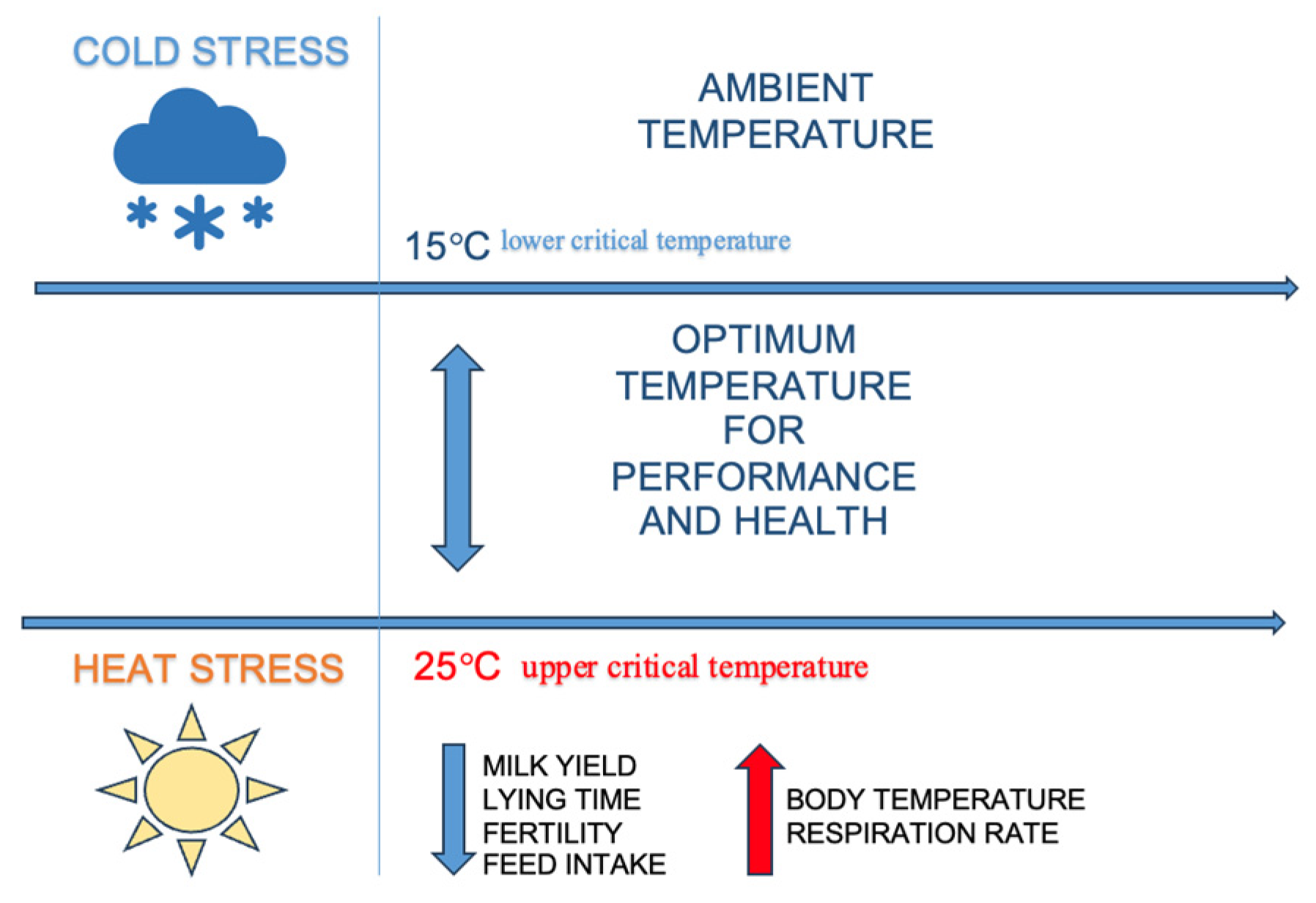 Agriculture 14 01241 g001