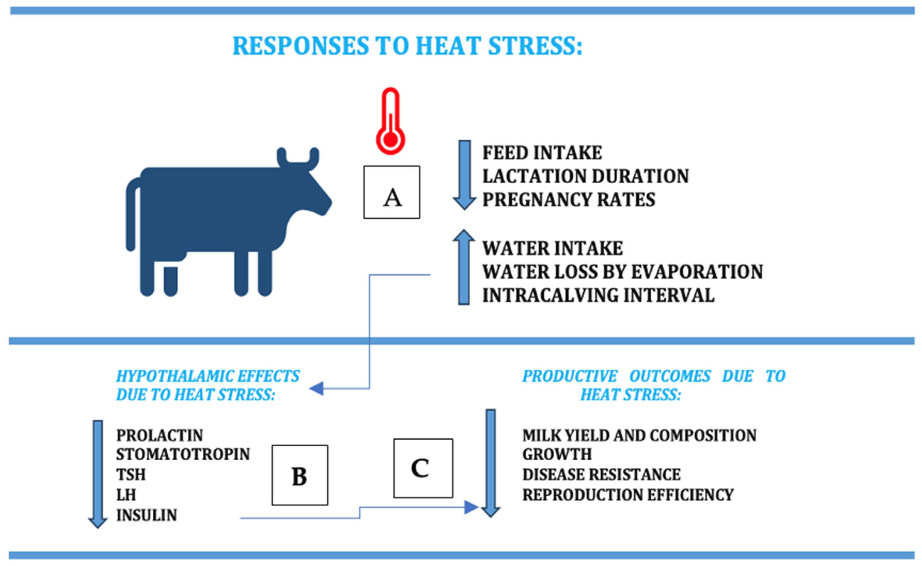 Agriculture 14 01241 g003