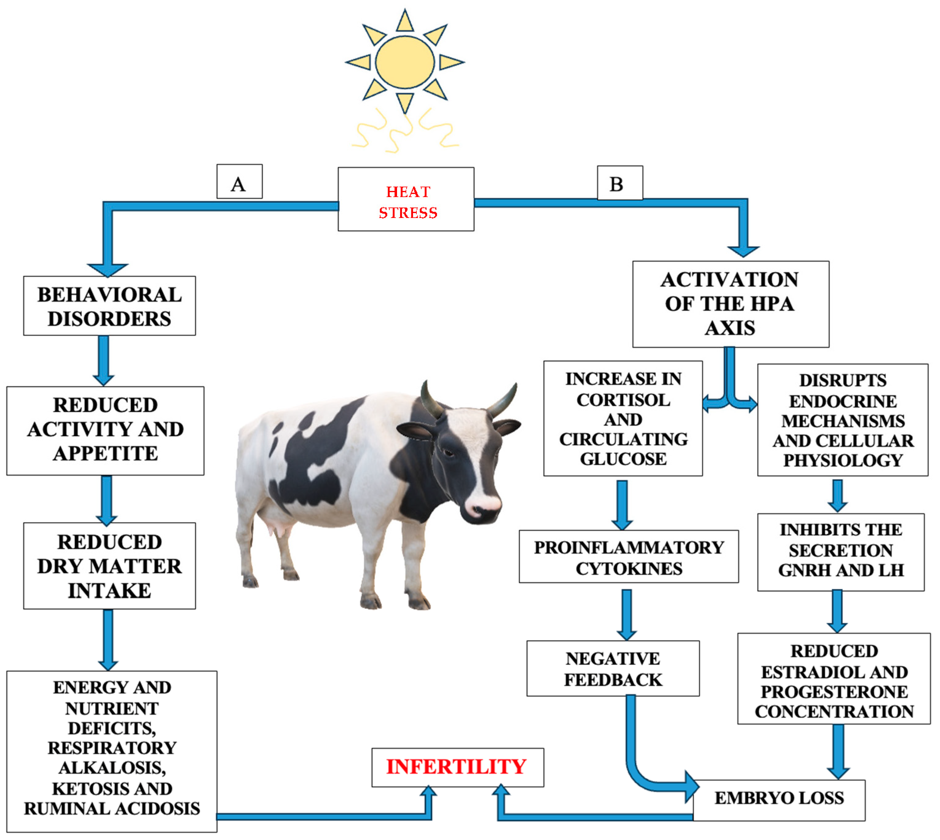 Agriculture 14 01241 g004