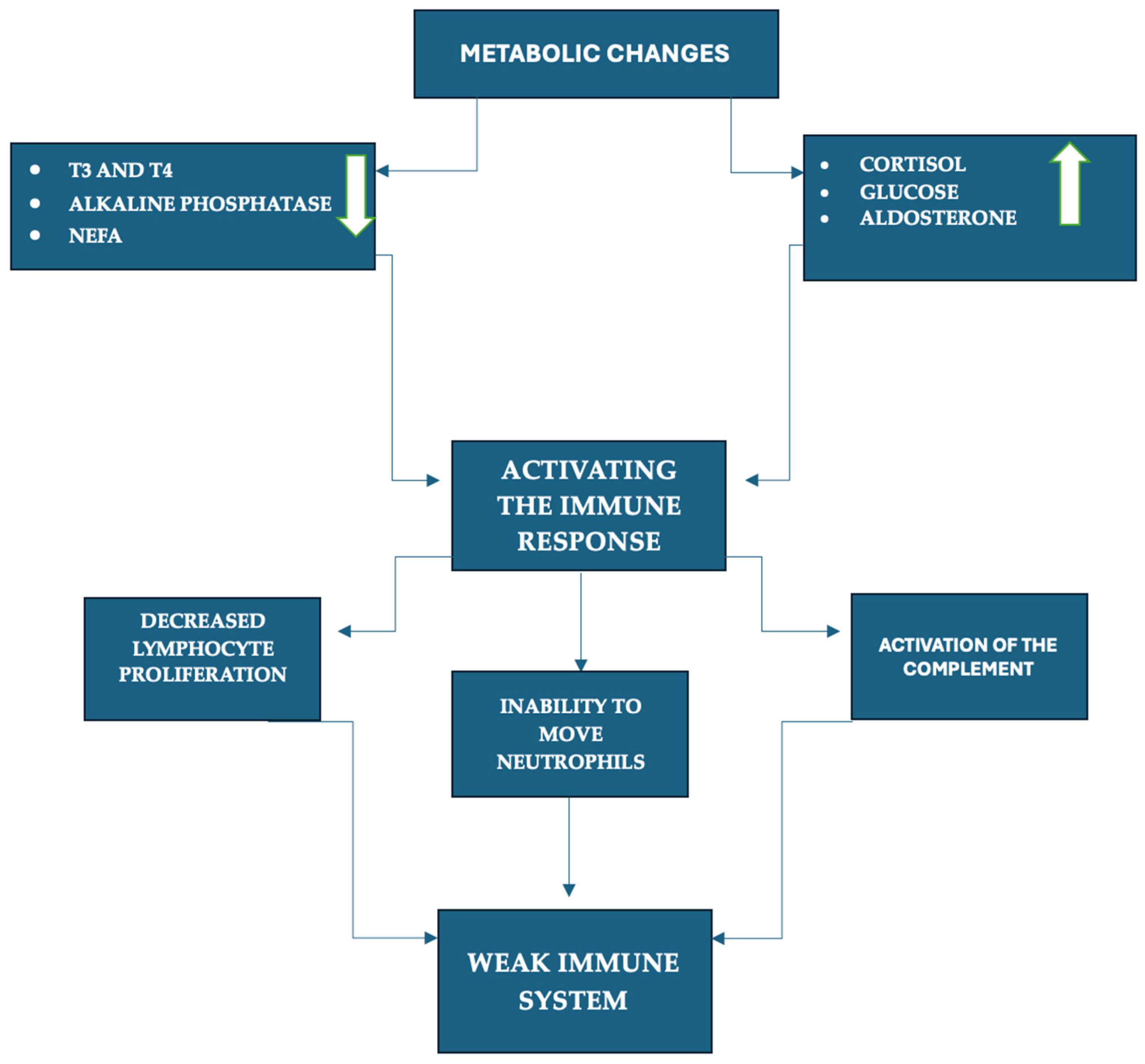 Agriculture 14 01241 g005