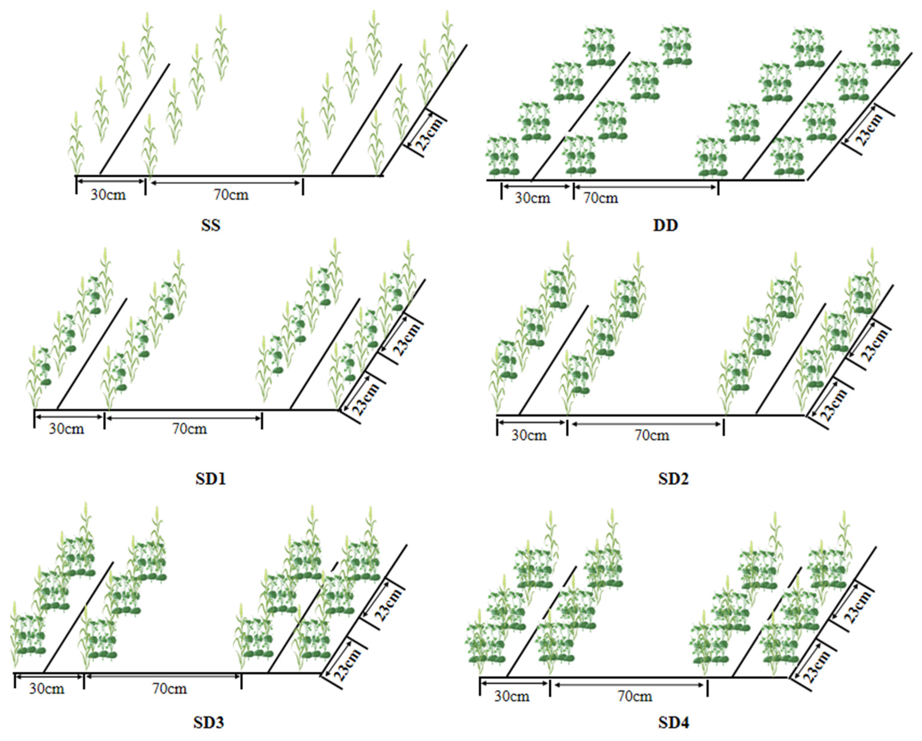 Agriculture 14 01249 g002