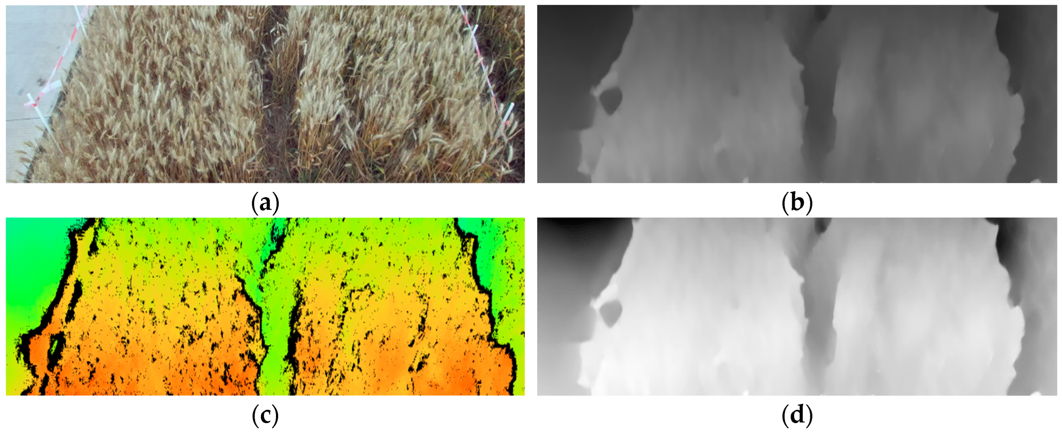 Agriculture 14 01251 g003