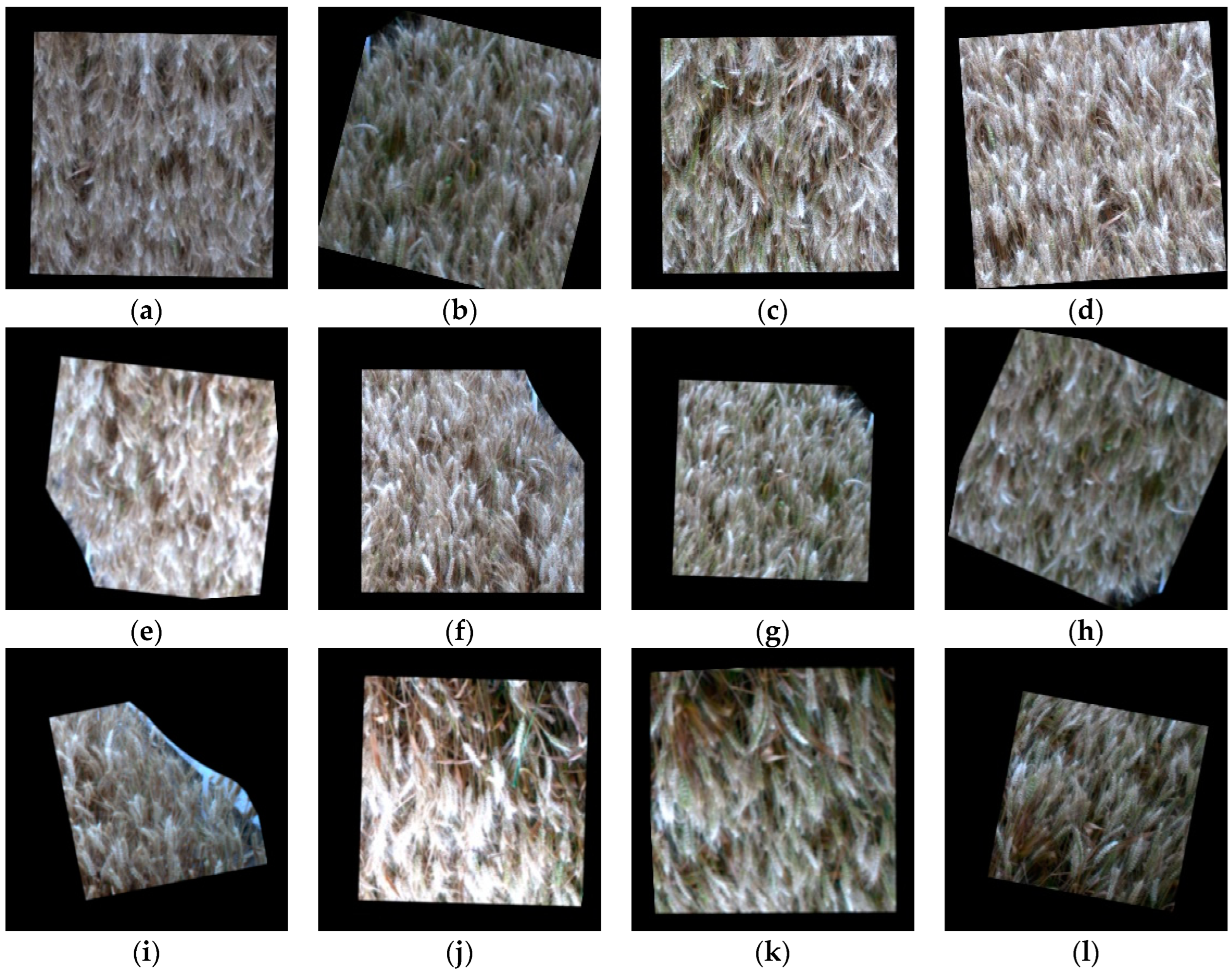 Agriculture 14 01251 g006